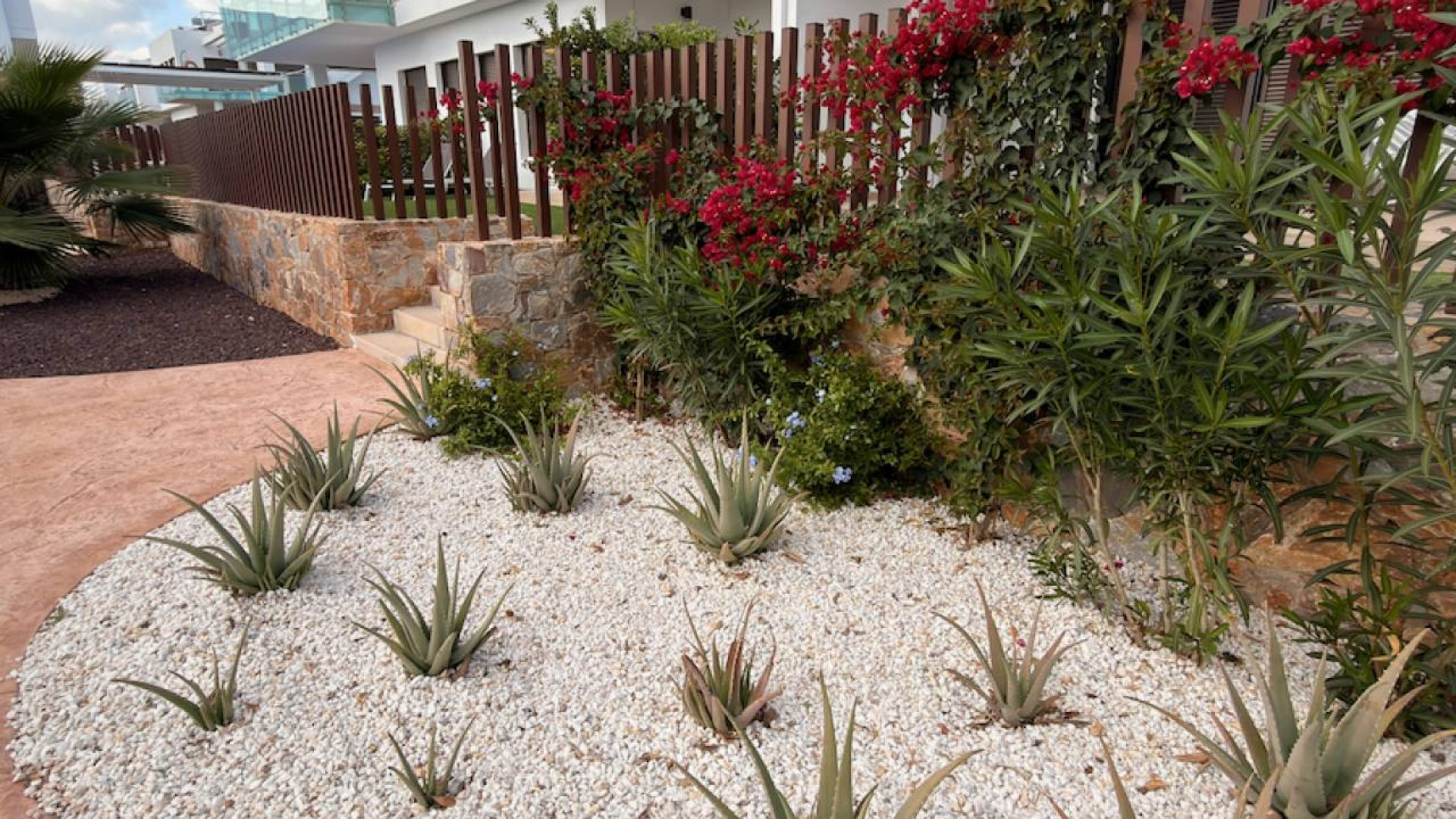 Revente - Apartment - Orihuela - Vistabella Golf