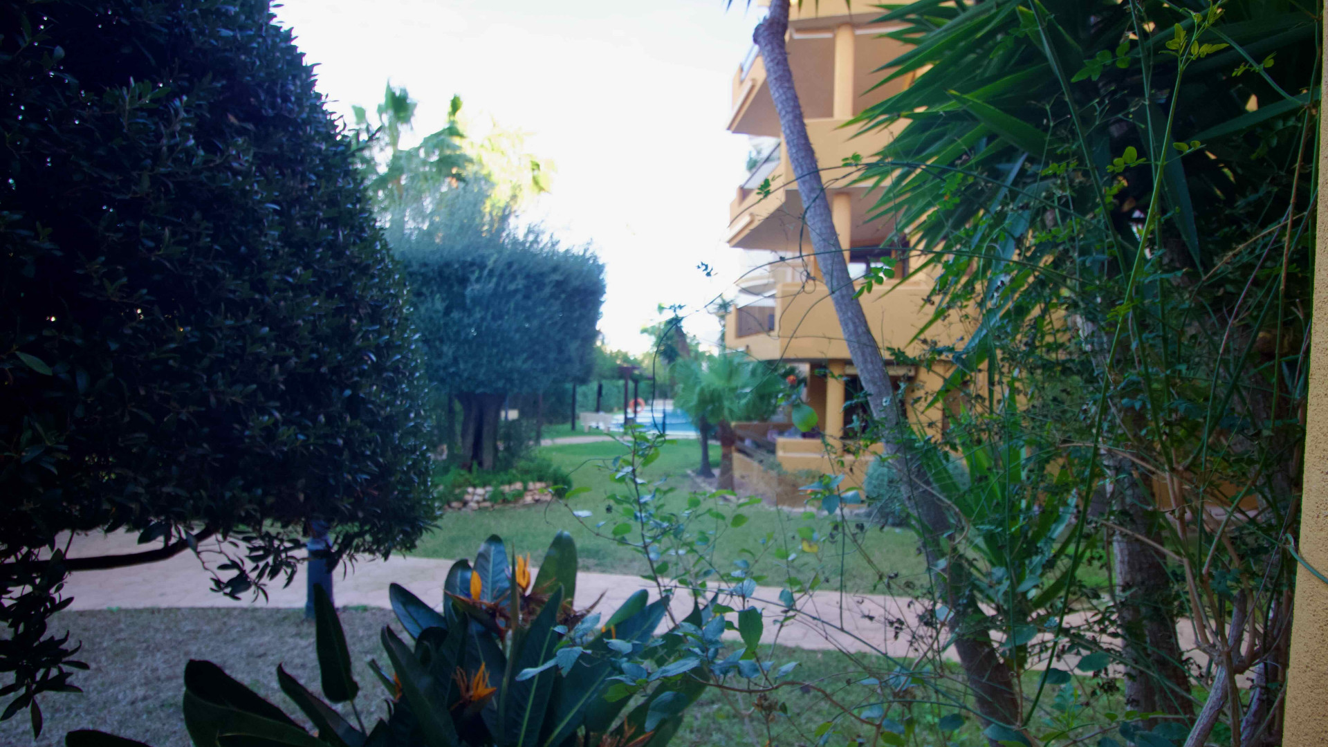 Revente - Apartment - Punta Prima