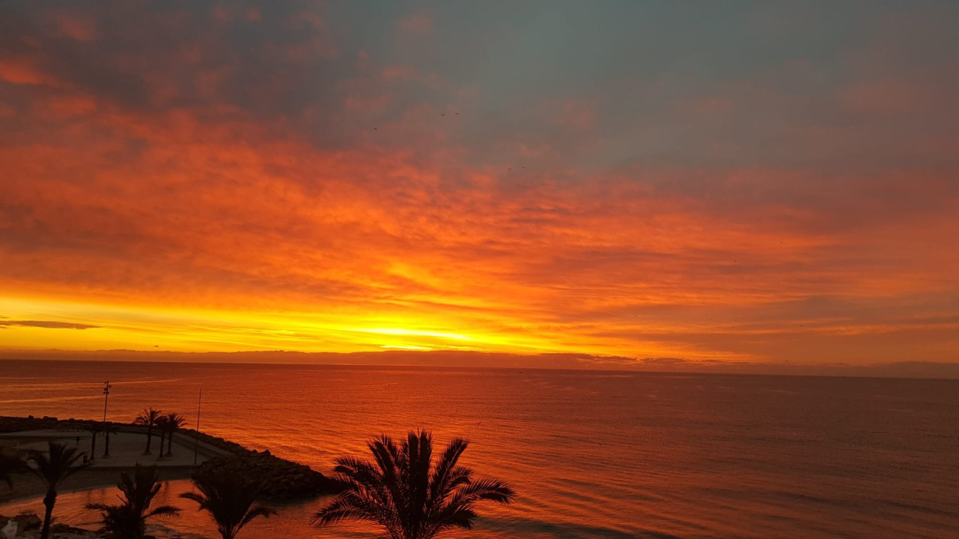 Revente - Apartment - Torrevieja - Playa del cura