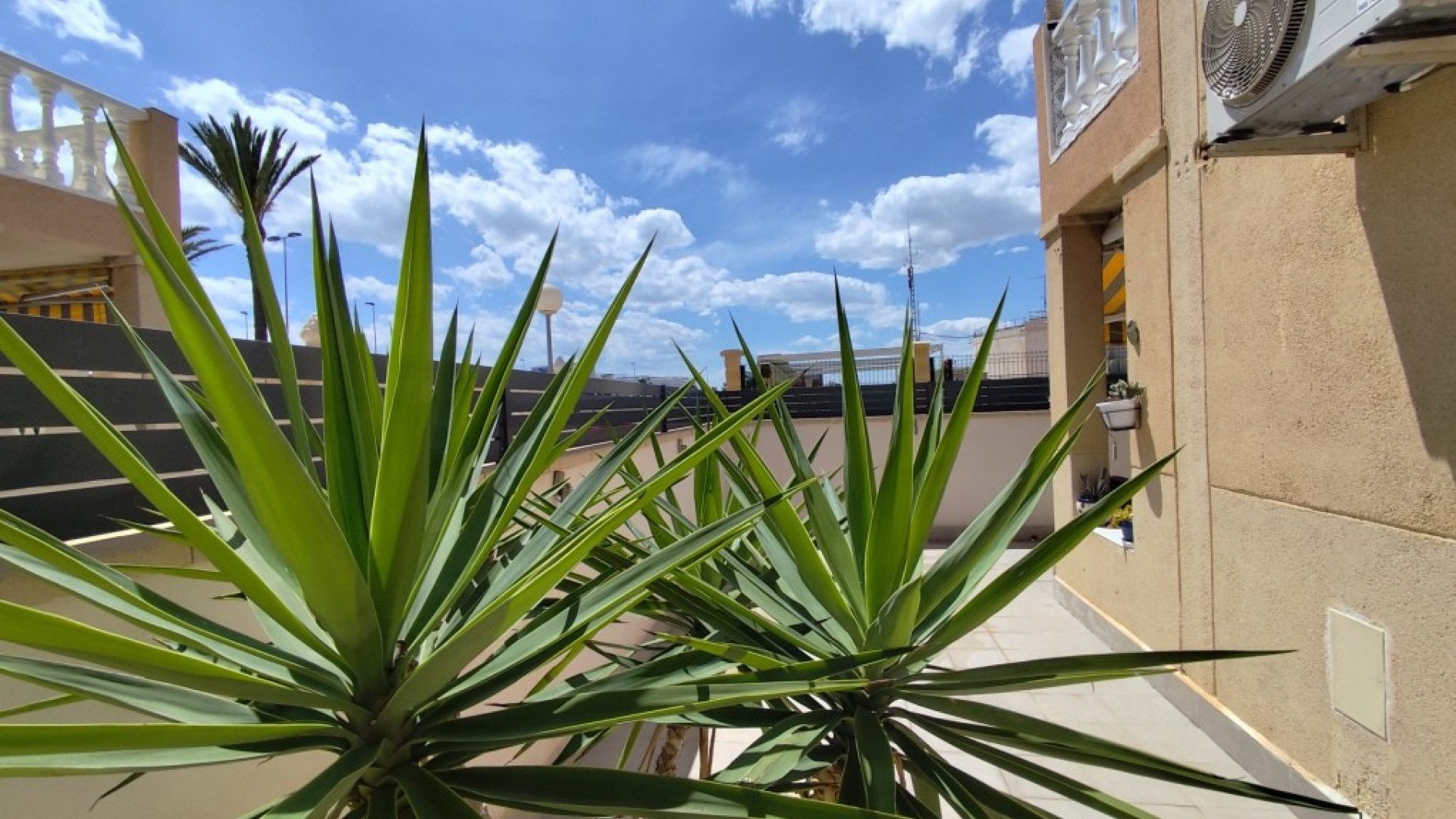 Revente - Apartment - Torrevieja