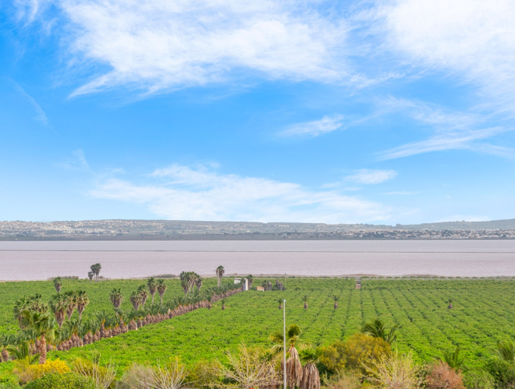 Revente - Appartement - Appartement op de begane grond - Los Balcones, Torrevieja - Los Balcones