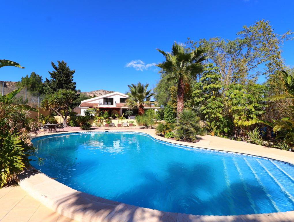 Revente - Country Property - Aspe - Aspe - Country