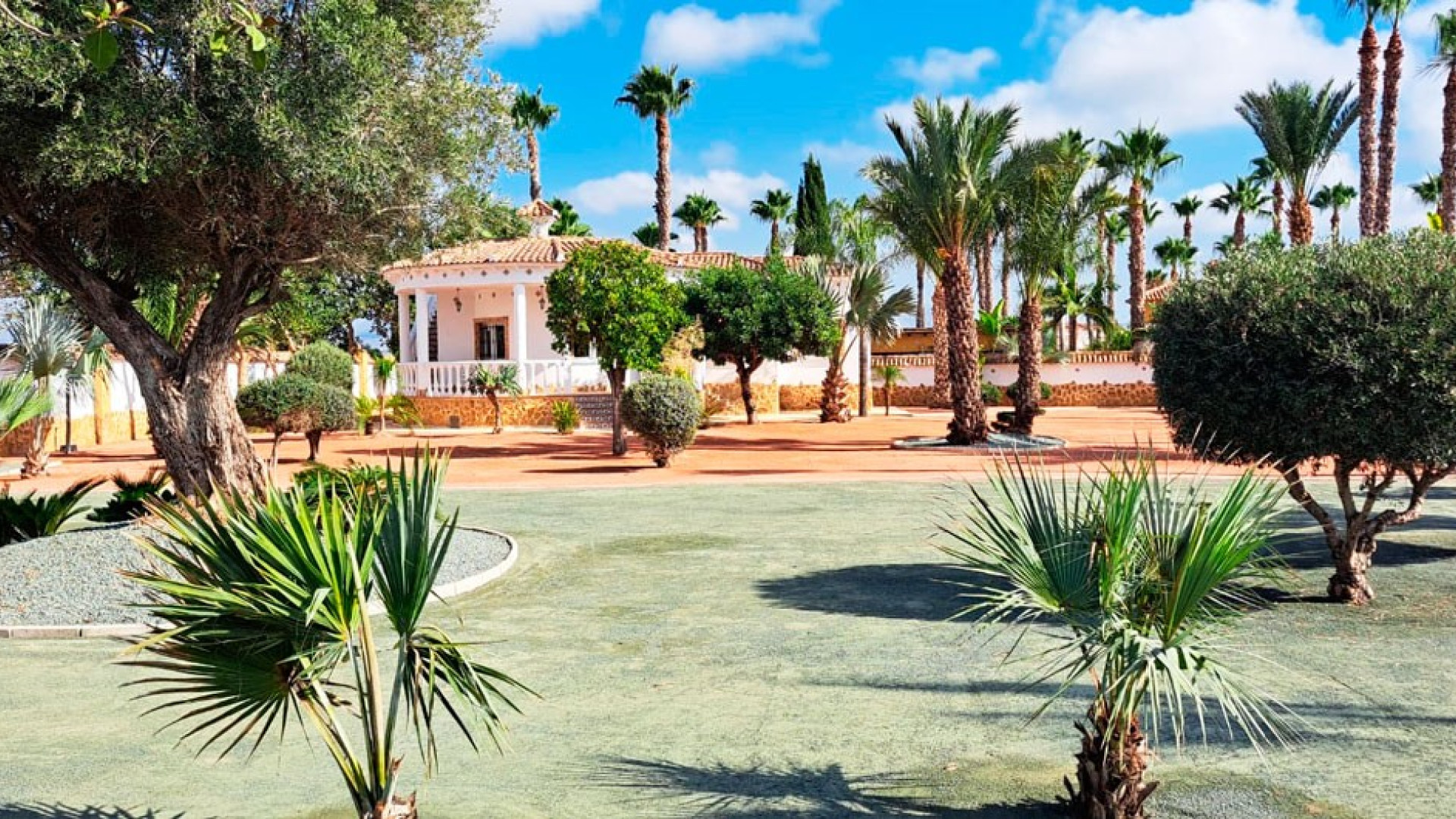 Revente - Country Property - Catral - Catral - Country