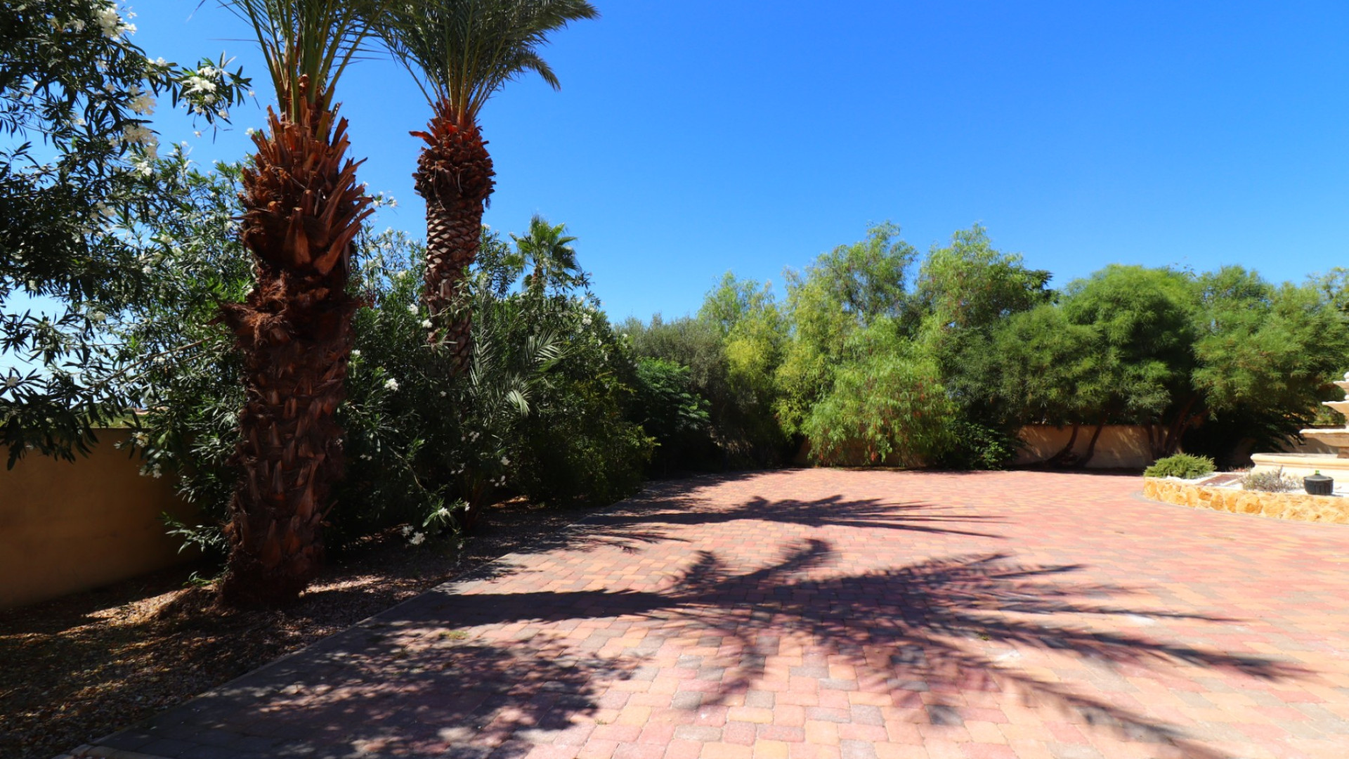 Revente - Country Property - Catral - Catral - Country