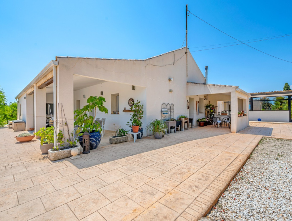 Revente - Country Property - Elche - Elche/Elx
