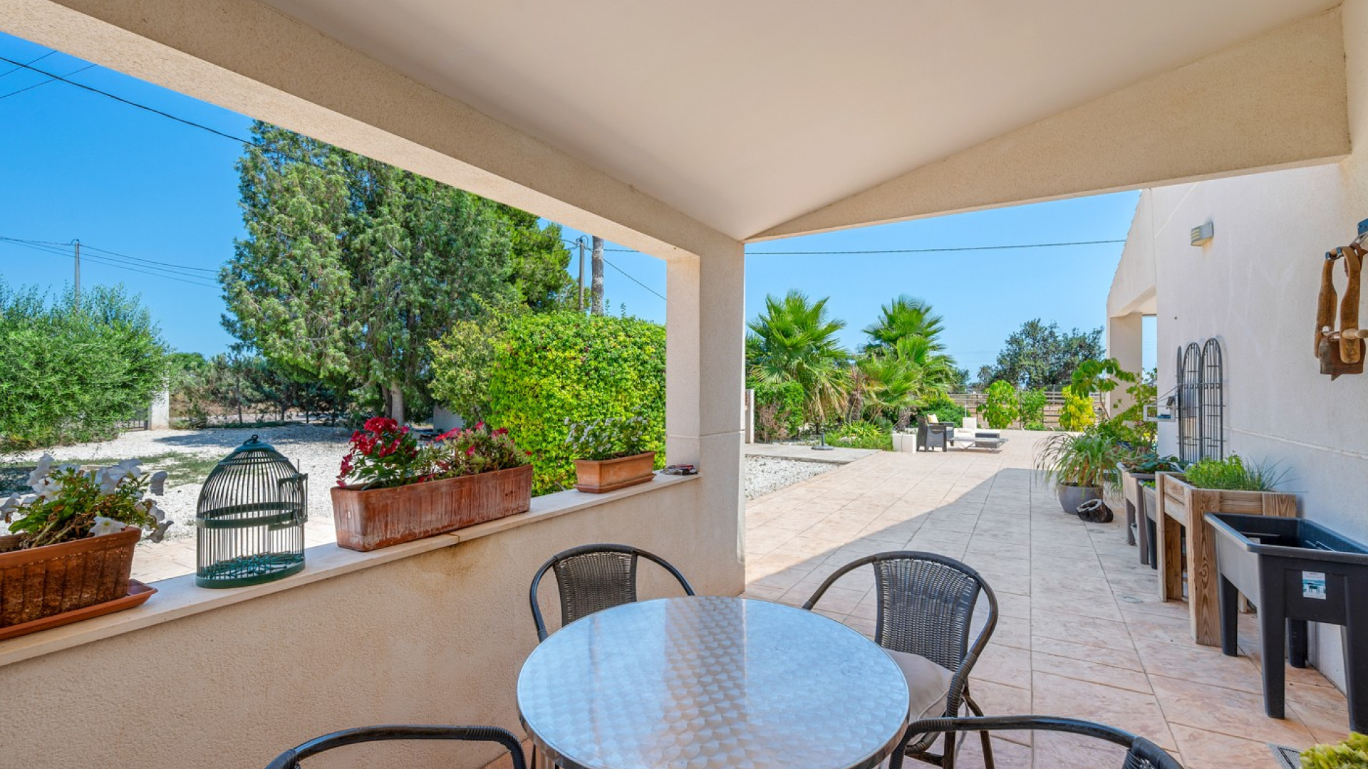 Revente - Country Property - Elche - Elche/Elx