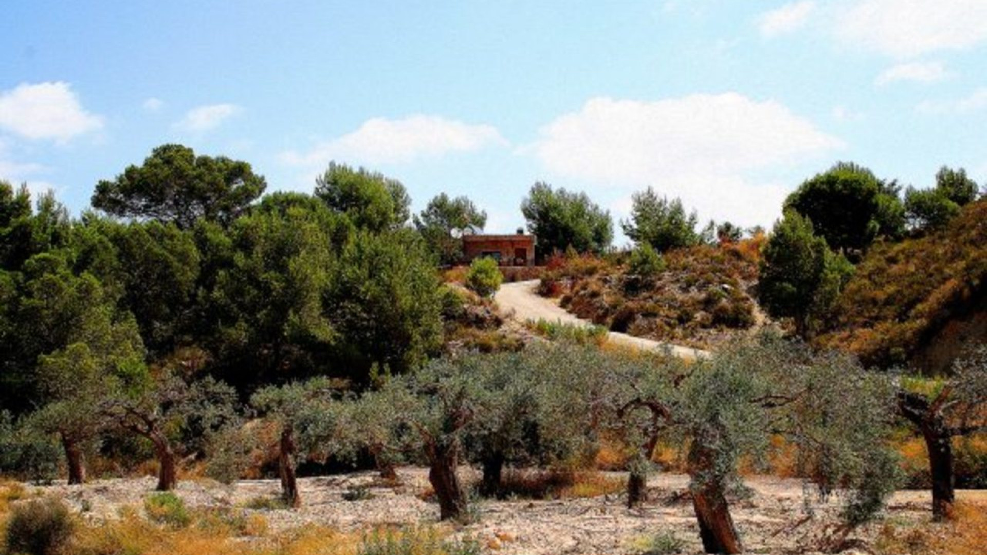 Revente - Country Property - Gea Y Truyols