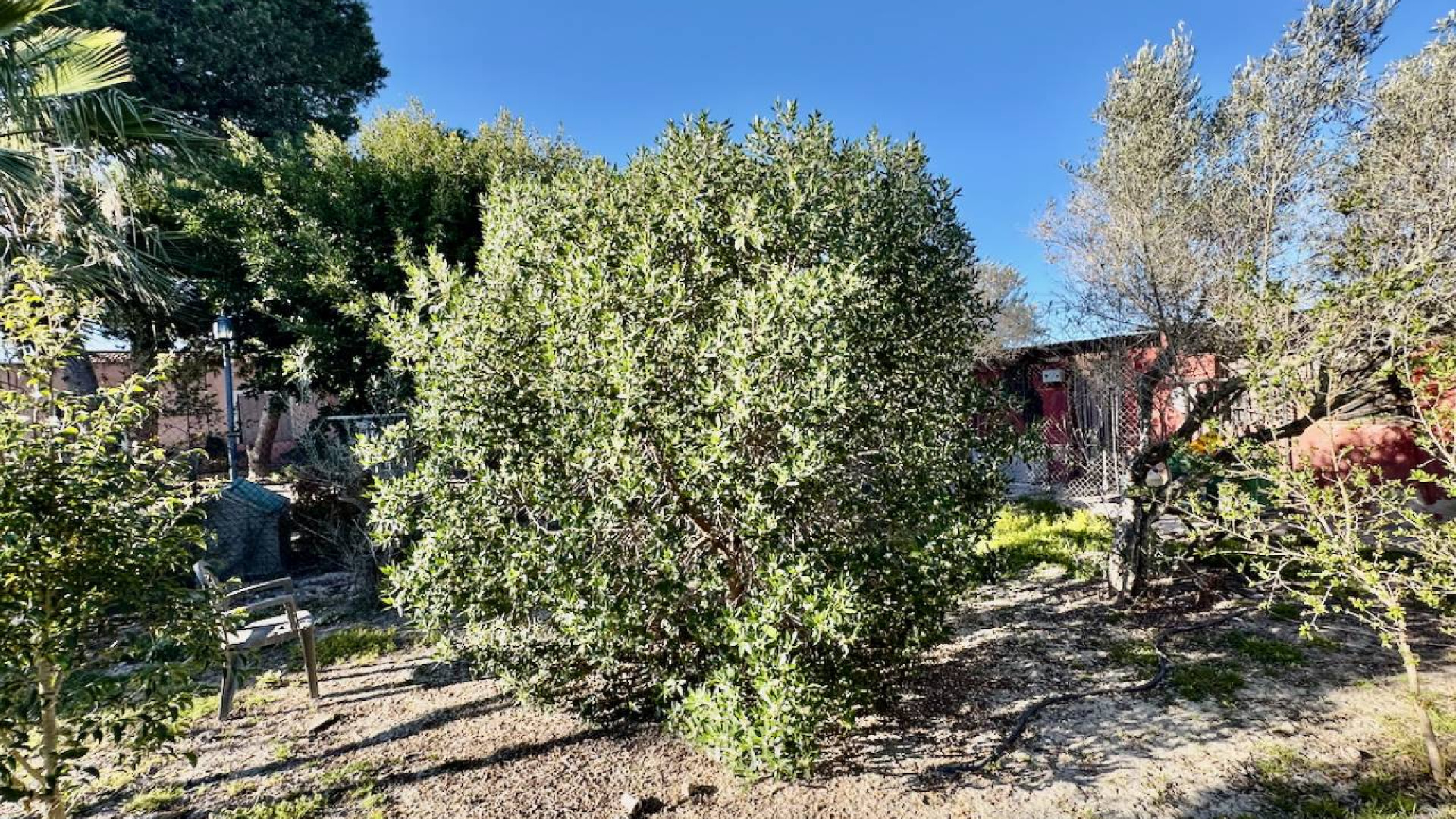 Revente - Country Property - Guardamar del Segura