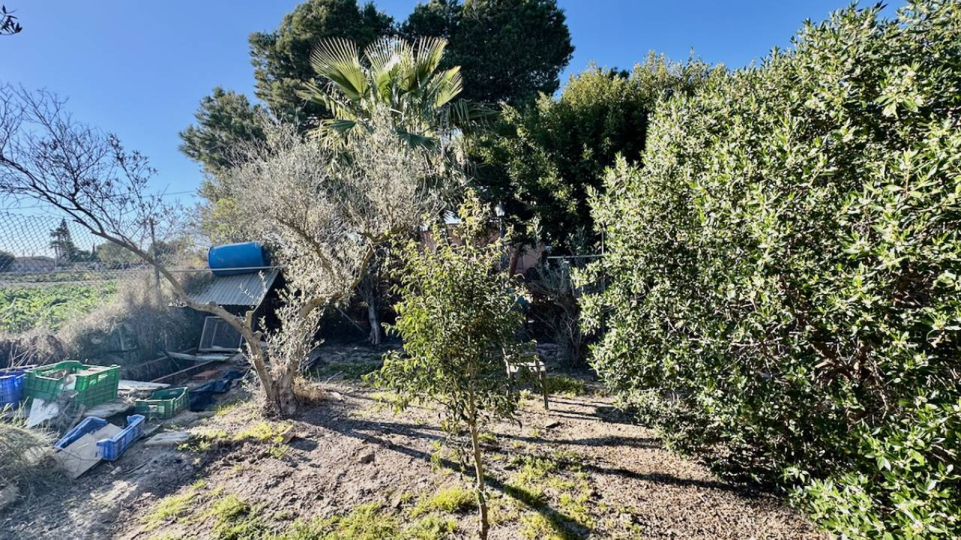 Revente - Country Property - Guardamar del Segura