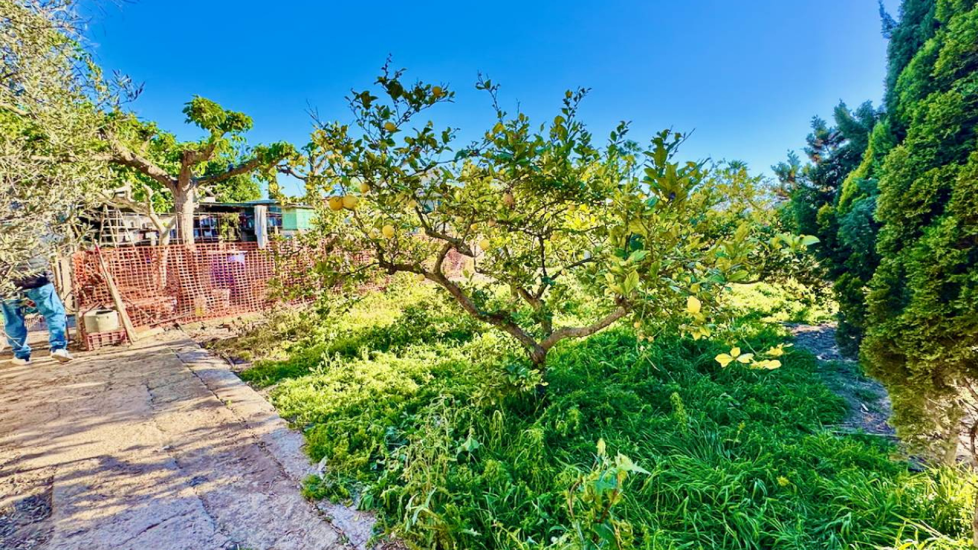 Revente - Country Property - Guardamar del Segura