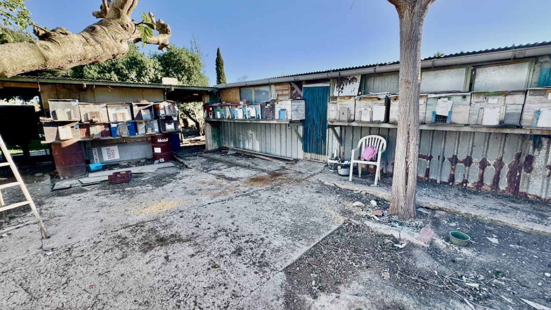 Revente - Country Property - Guardamar del Segura