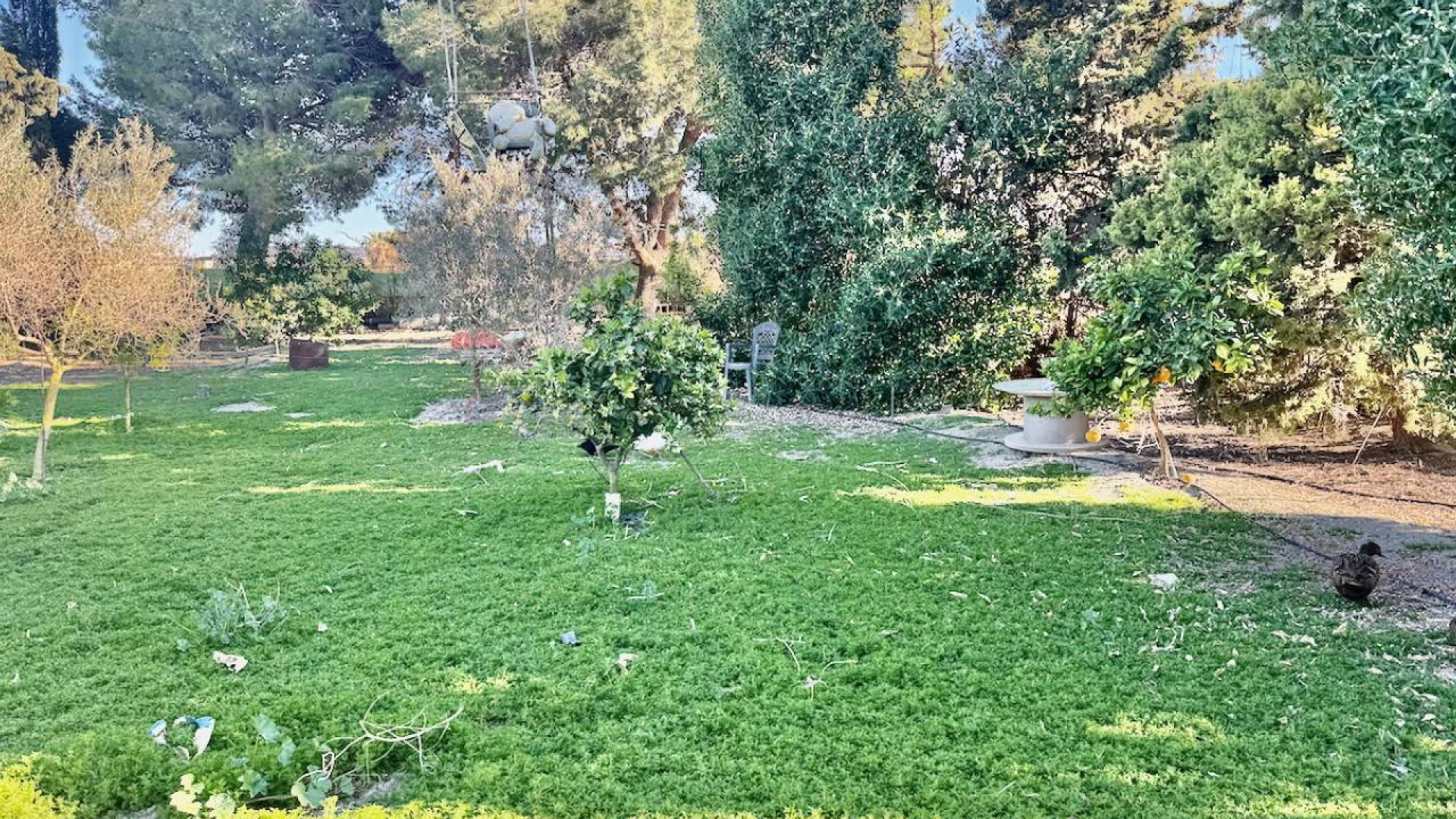 Revente - Country Property - Guardamar del Segura