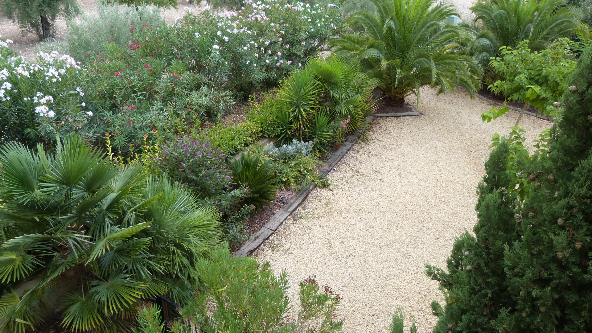 Revente - Country Property - Ibi - Ibi - Country