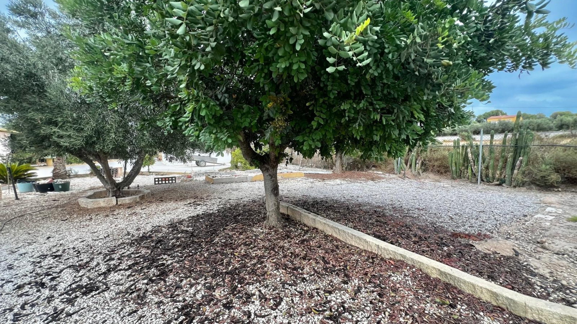 Revente - Country Property - San Fulgencio - San Fulgencio - Country