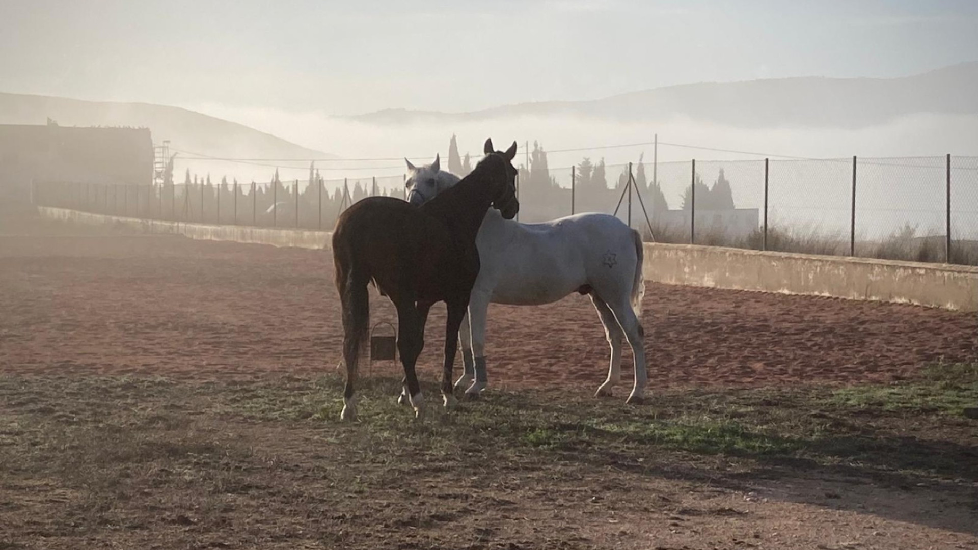 Revente - Country Property - Torre Del Rico