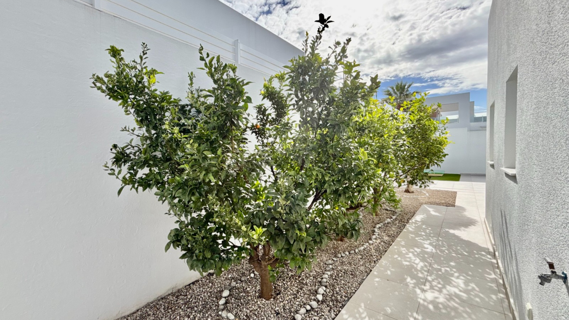 Revente - Detached Villa - Benijófar - Benijofar - Village