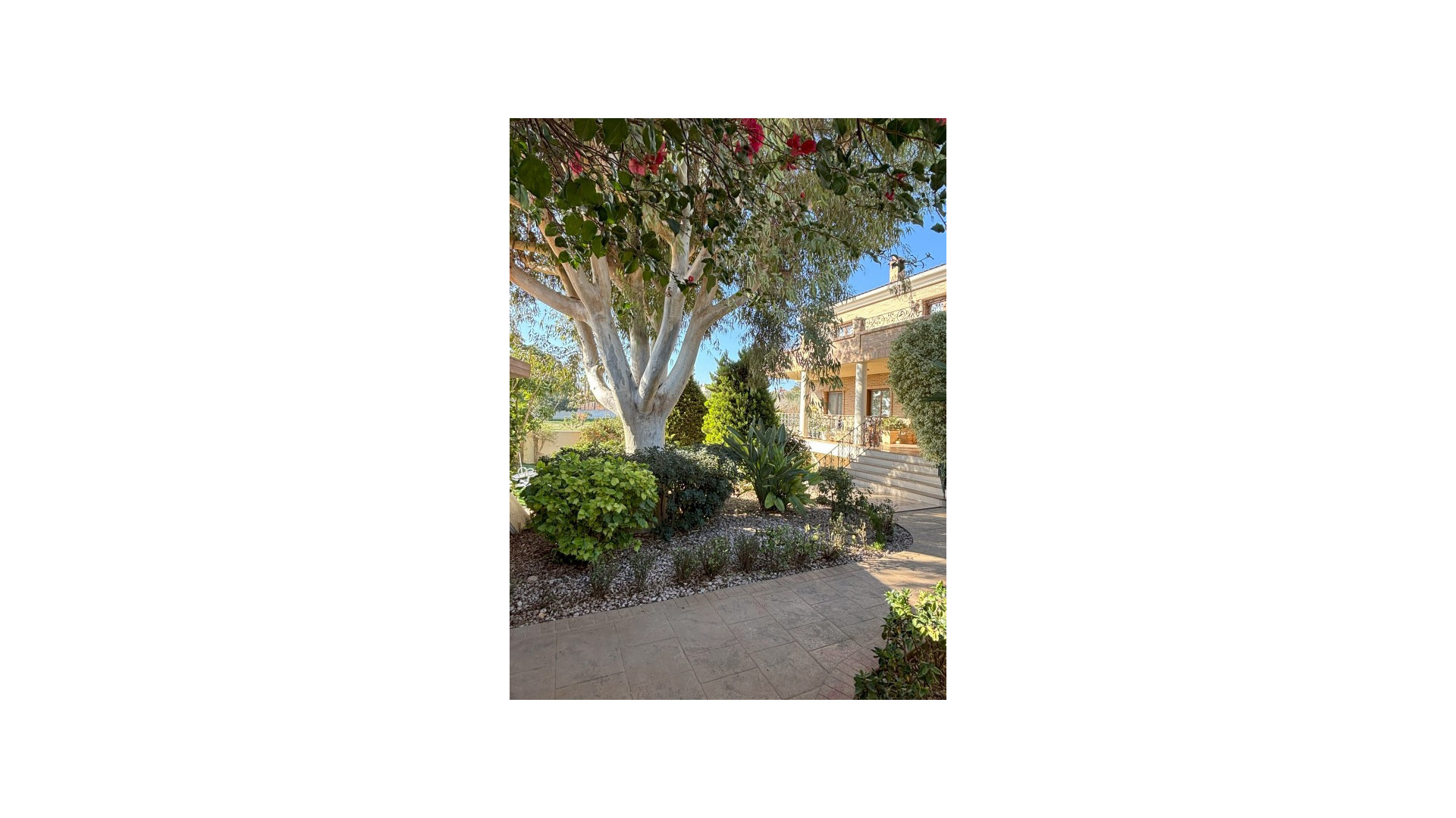 Revente - Detached Villa - Ciudad Quesada