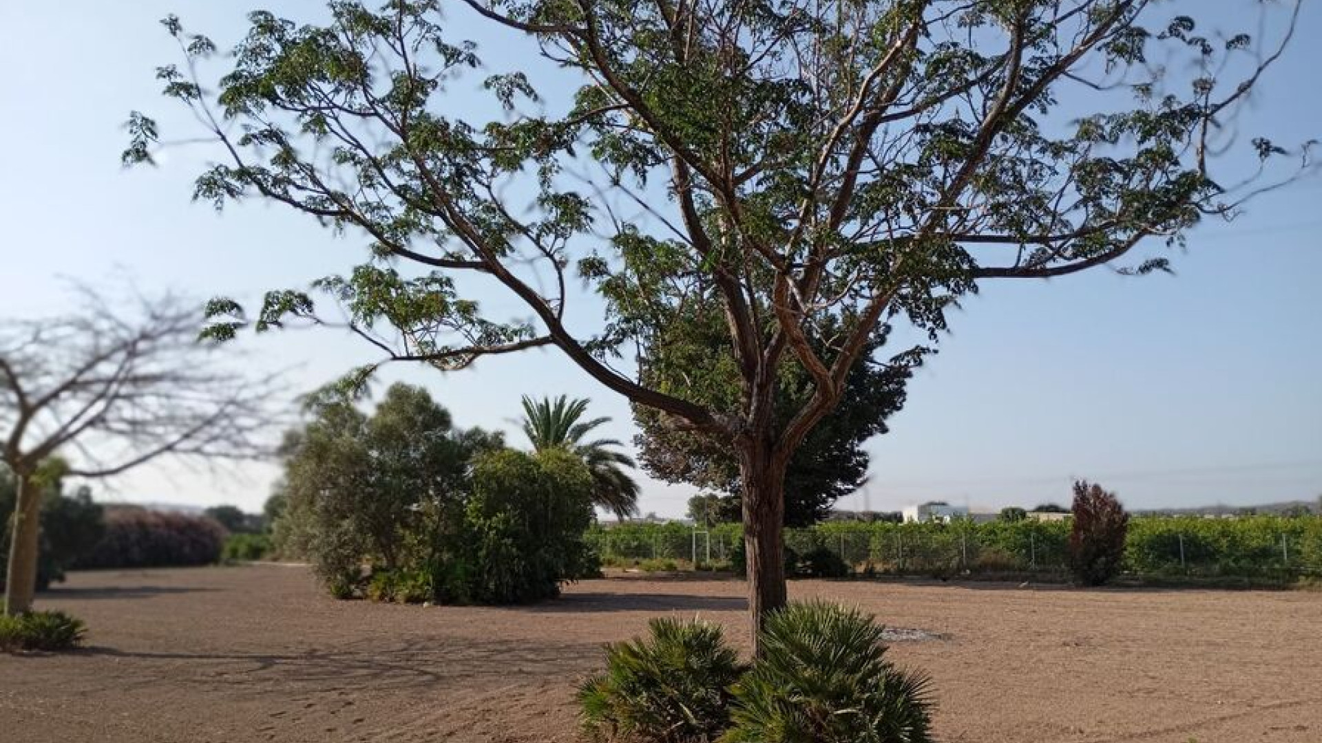 Revente - Detached Villa - Daya Nueva