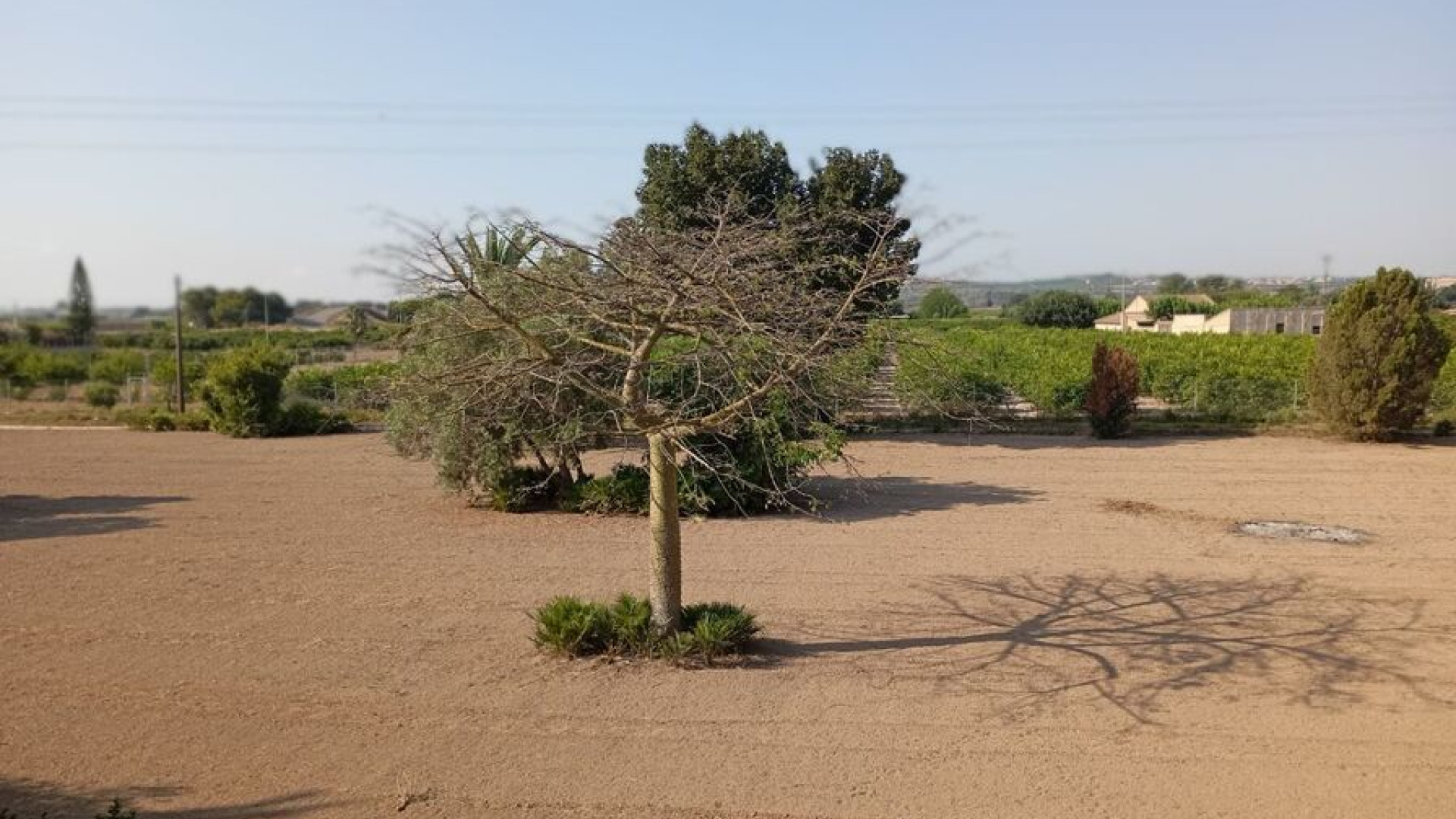 Revente - Detached Villa - Daya Nueva