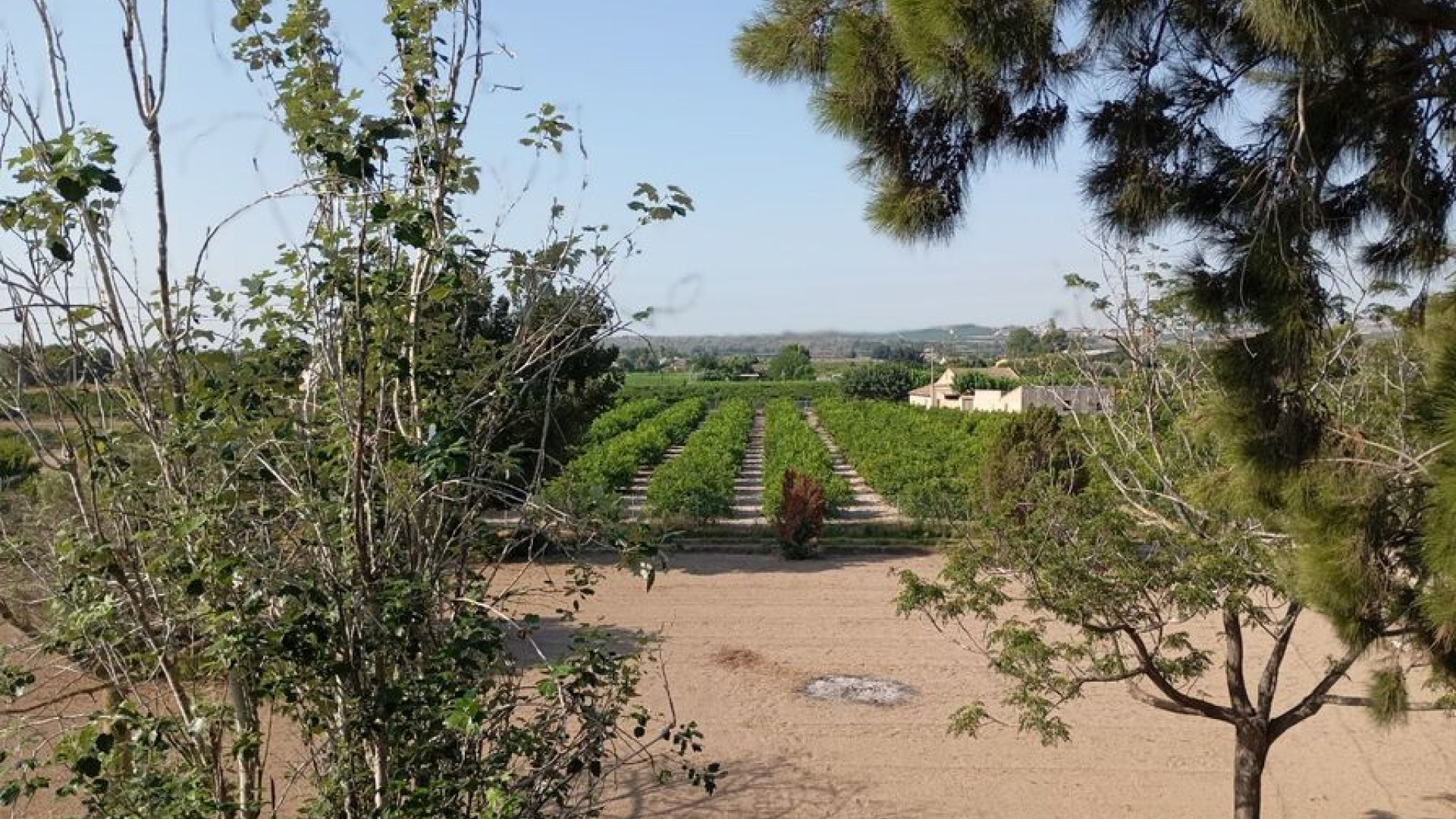 Revente - Detached Villa - Daya Nueva