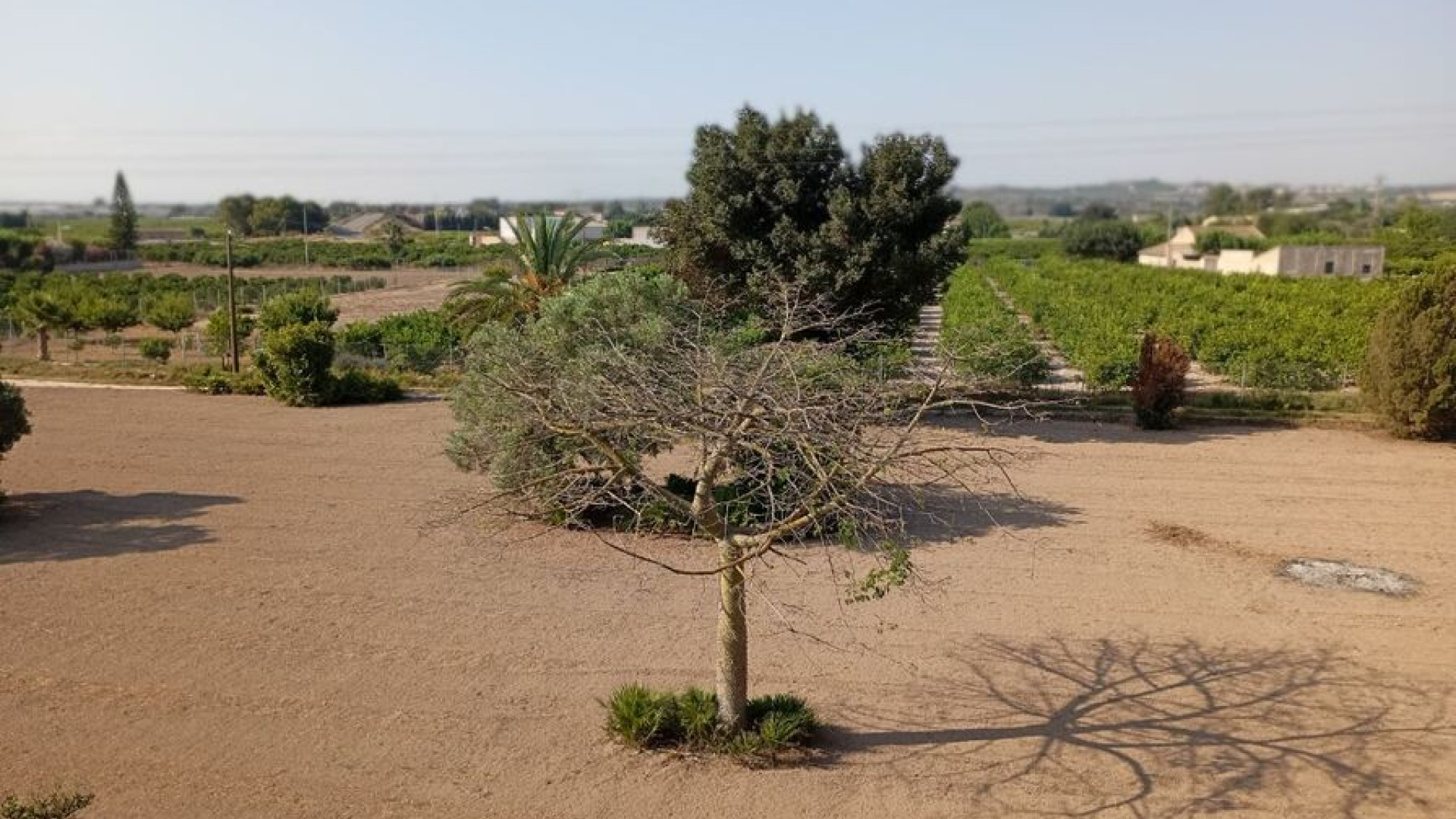 Revente - Detached Villa - Daya Nueva