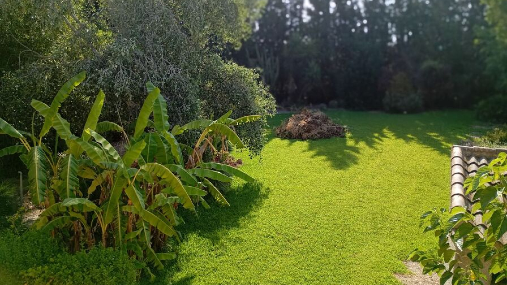 Revente - Detached Villa - Daya Nueva