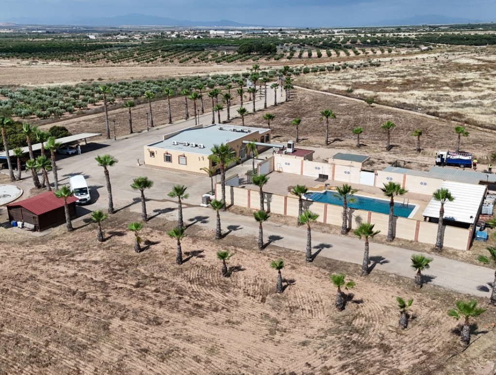 Revente - Detached Villa - Fuente Alamo de Murcia - Fuente-Alamo de Murcia