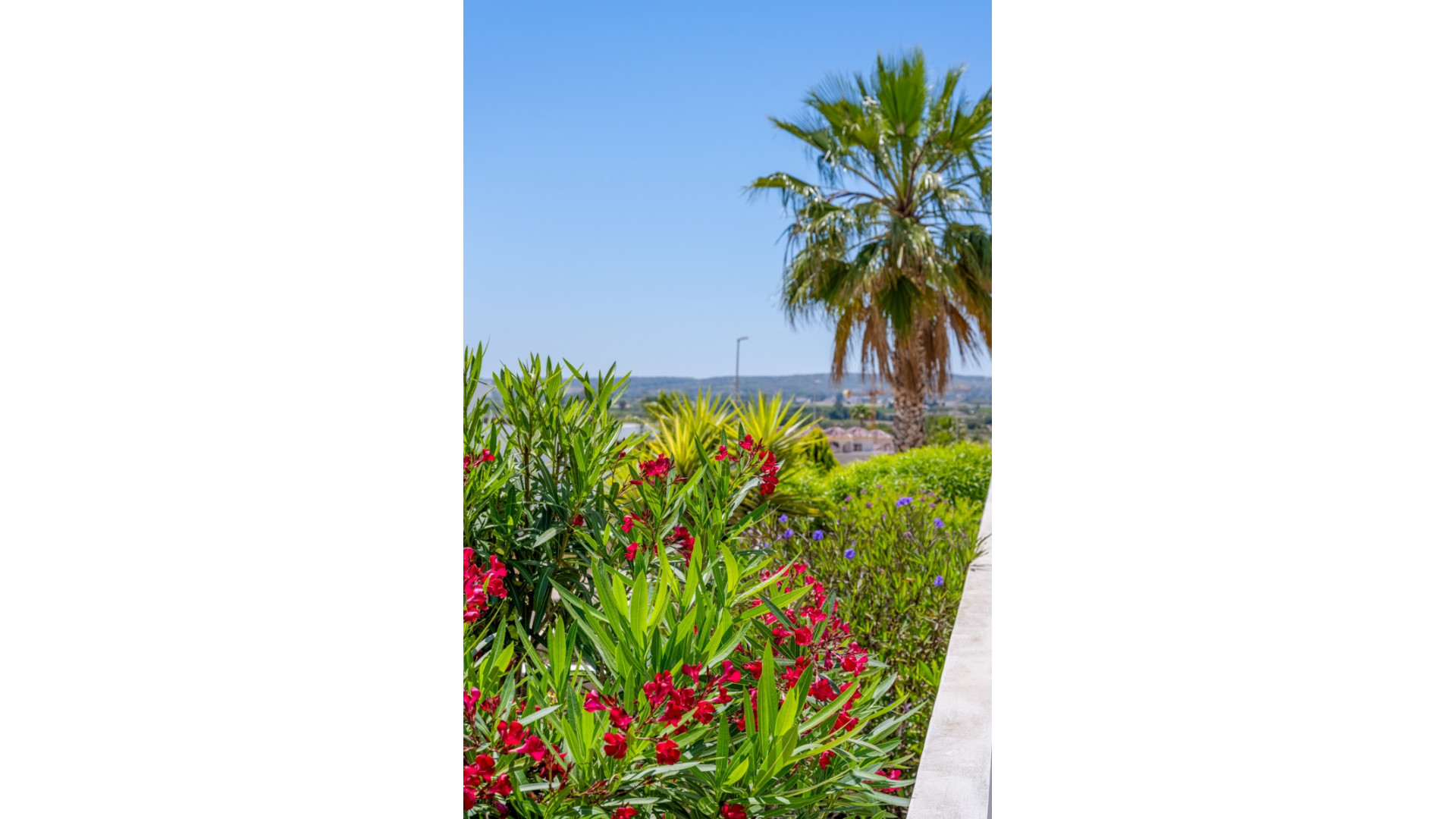 Revente - Detached Villa - La Marina