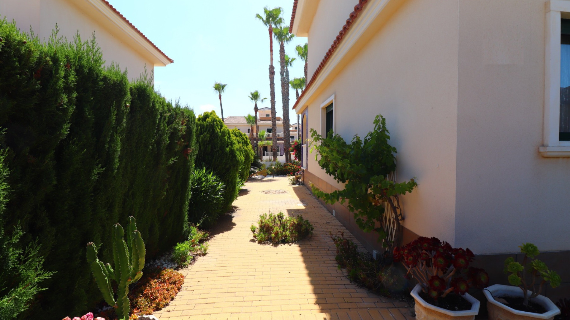 Revente - Maison de ville - Ciudad Quesada - Doña Pepa