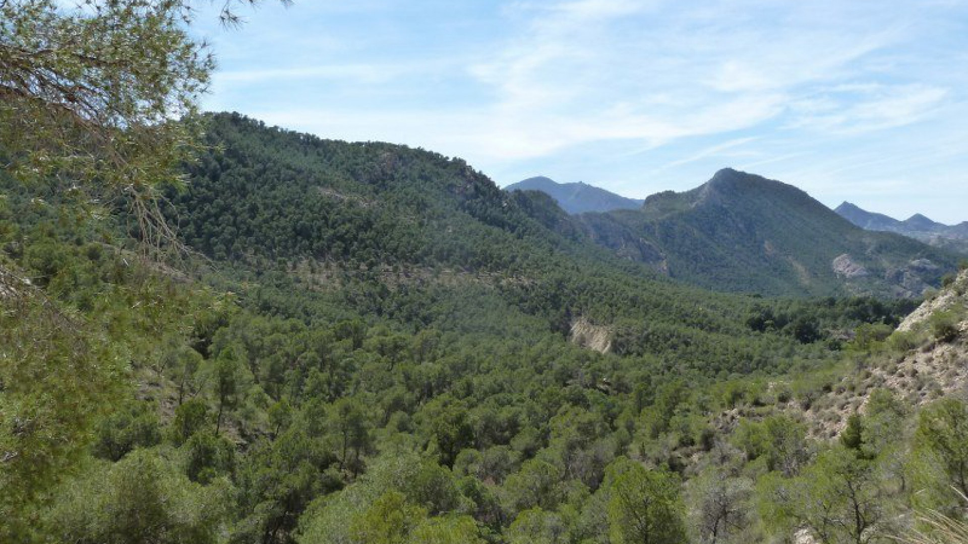 Revente - Maison jumelée - Murcia
