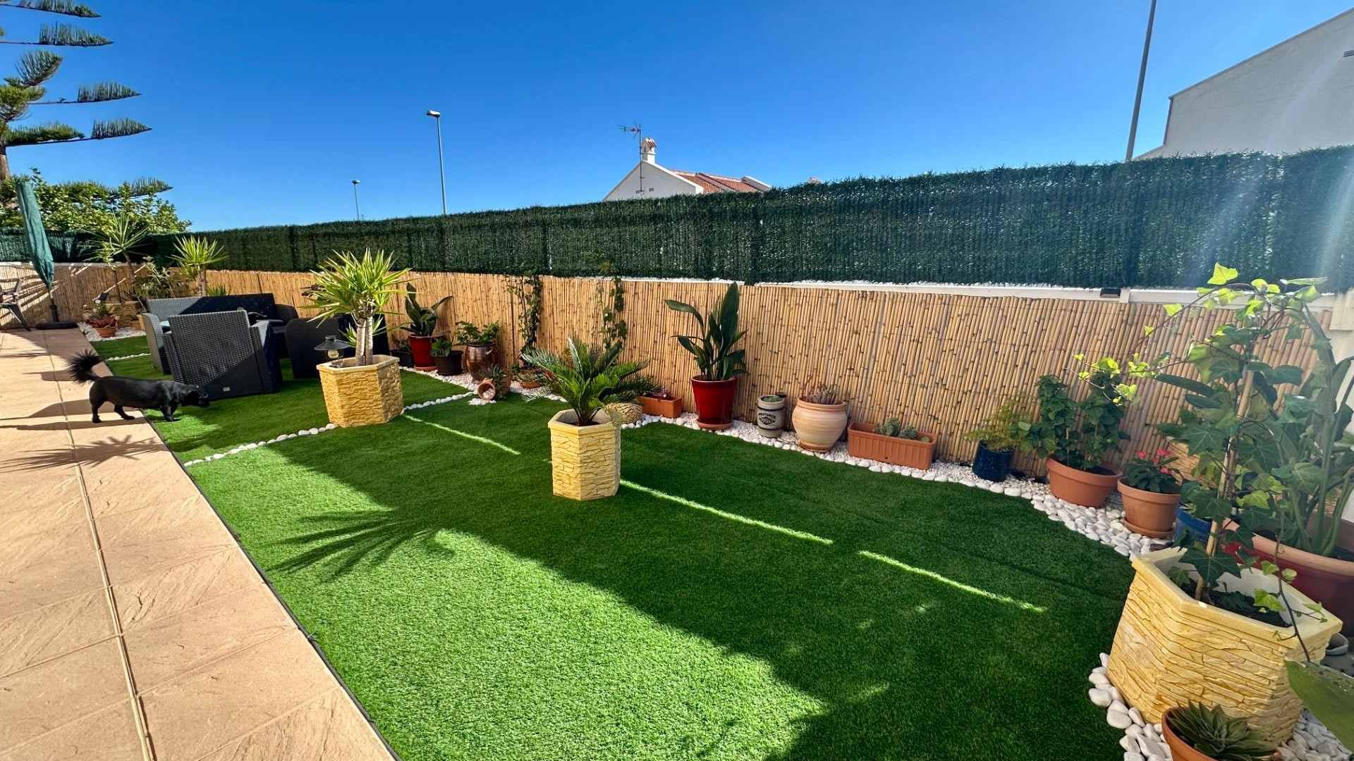 Revente - Maison jumelée - San Miguel de Salinas - Residencial los flamencos