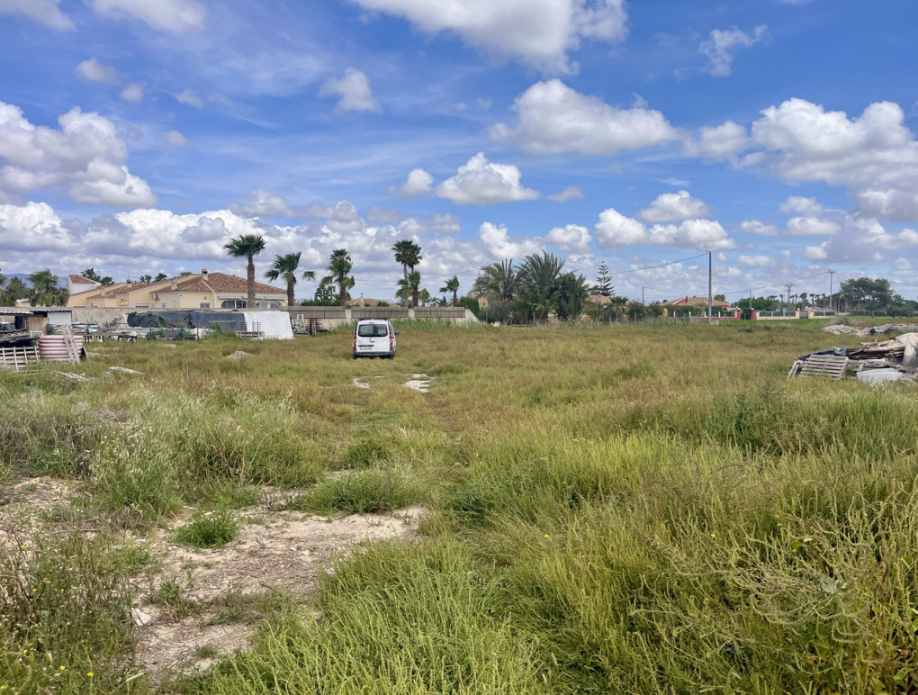 Revente - Parcelle / Terrain - Catral