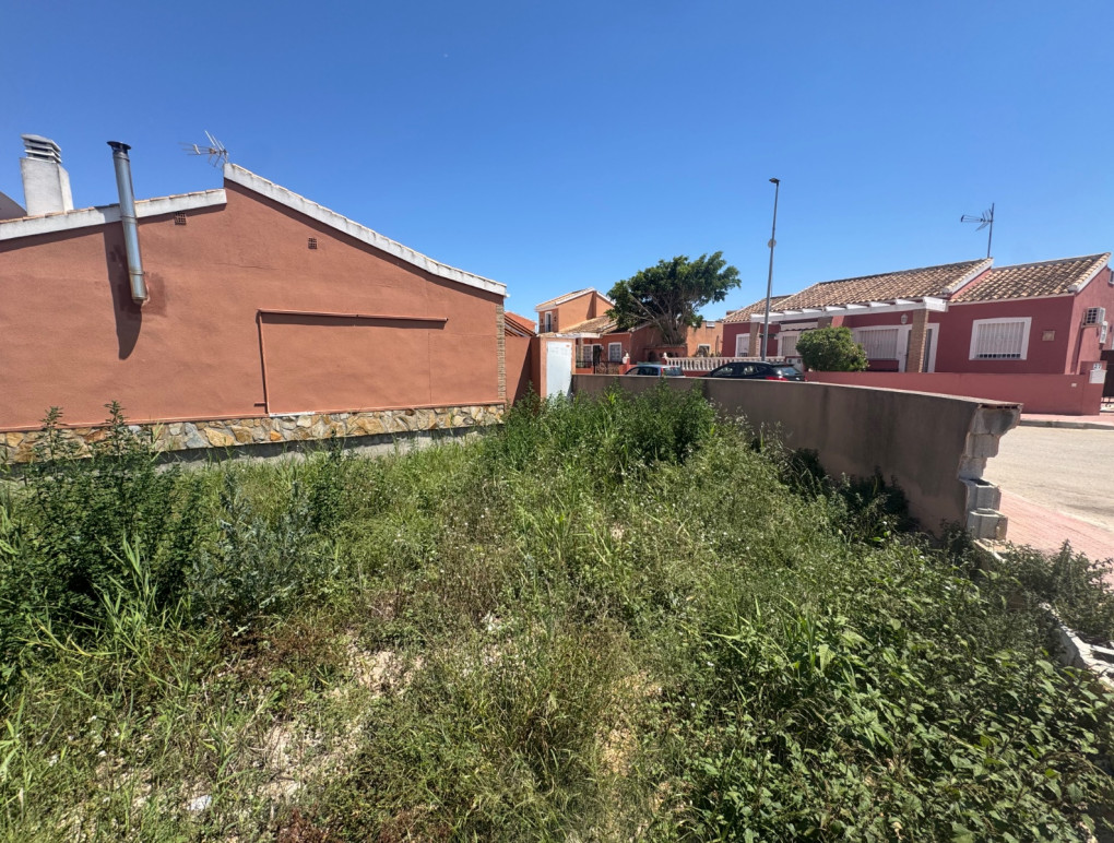 Revente - Parcelle / Terrain - Daya Nueva