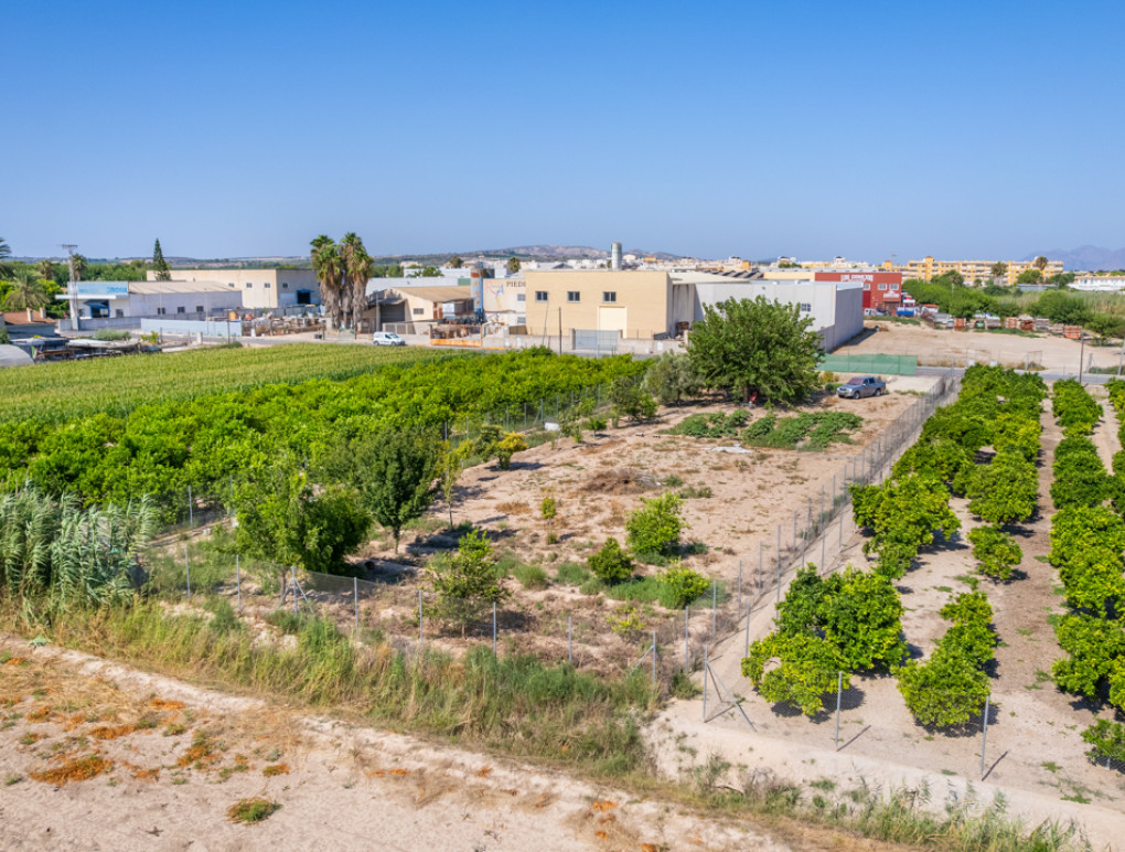 Revente - Parcelle / Terrain - Formentera del Segura - Formentera de Segura