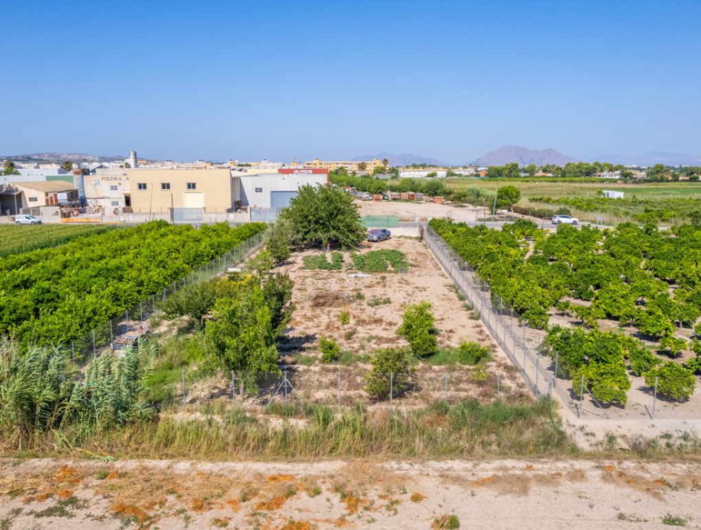 Revente - Parcelle / Terrain - Formentera del Segura - Formentera de Segura