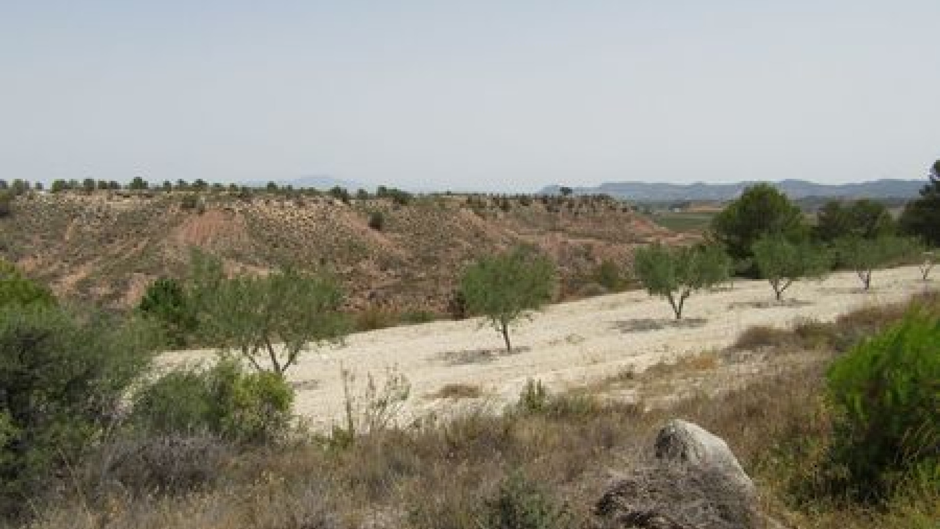 Revente - Parcelle / Terrain - Murcia