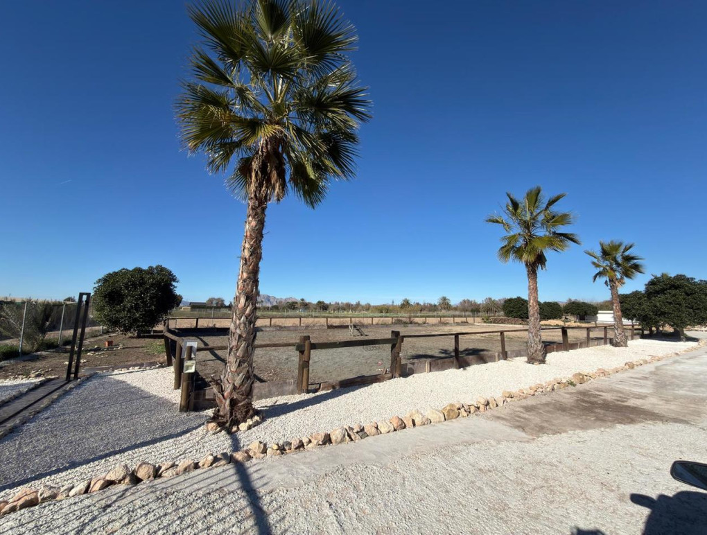 Revente - Perceel / Land - Algorfa