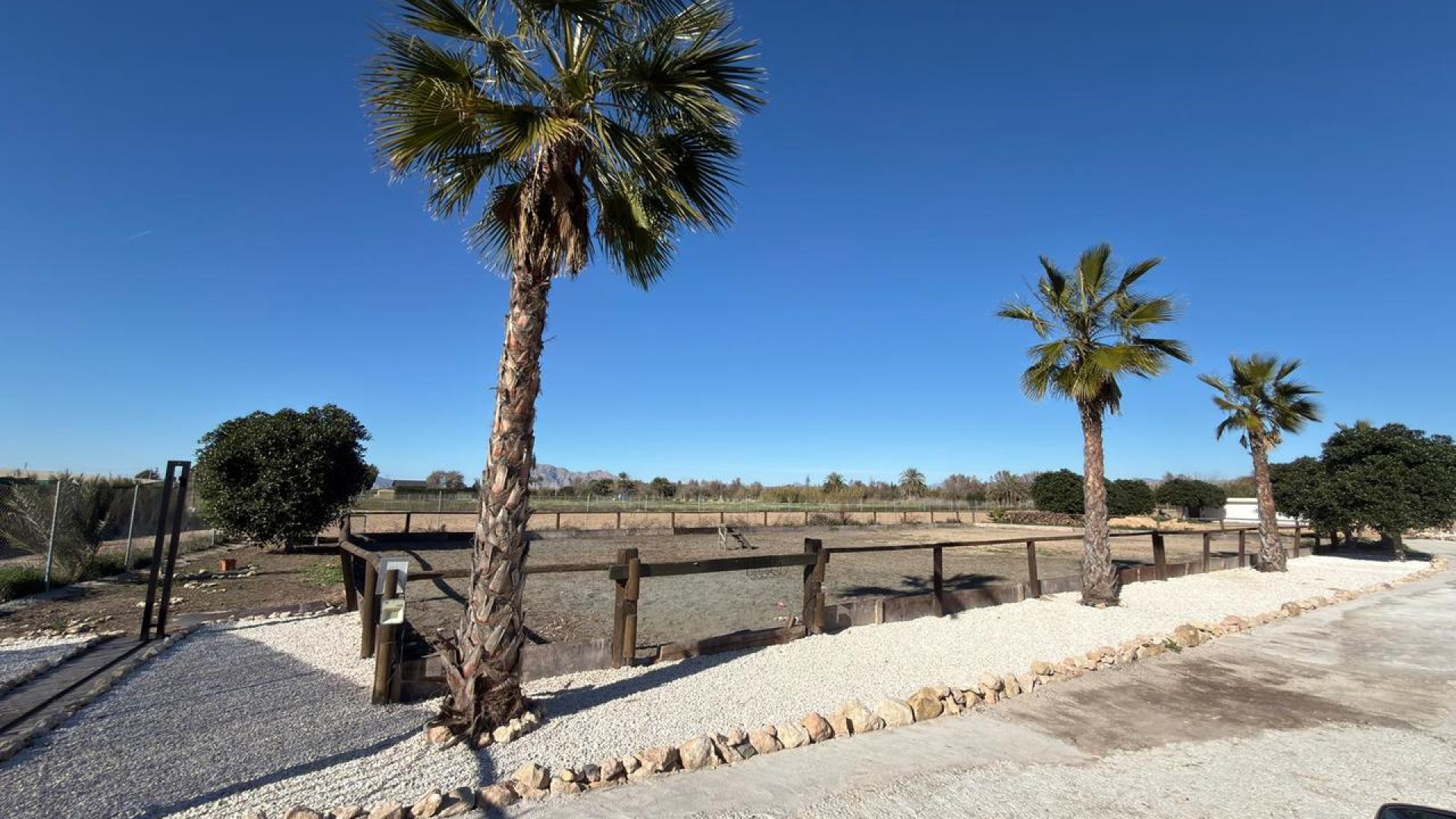 Revente - Perceel / Land - Algorfa