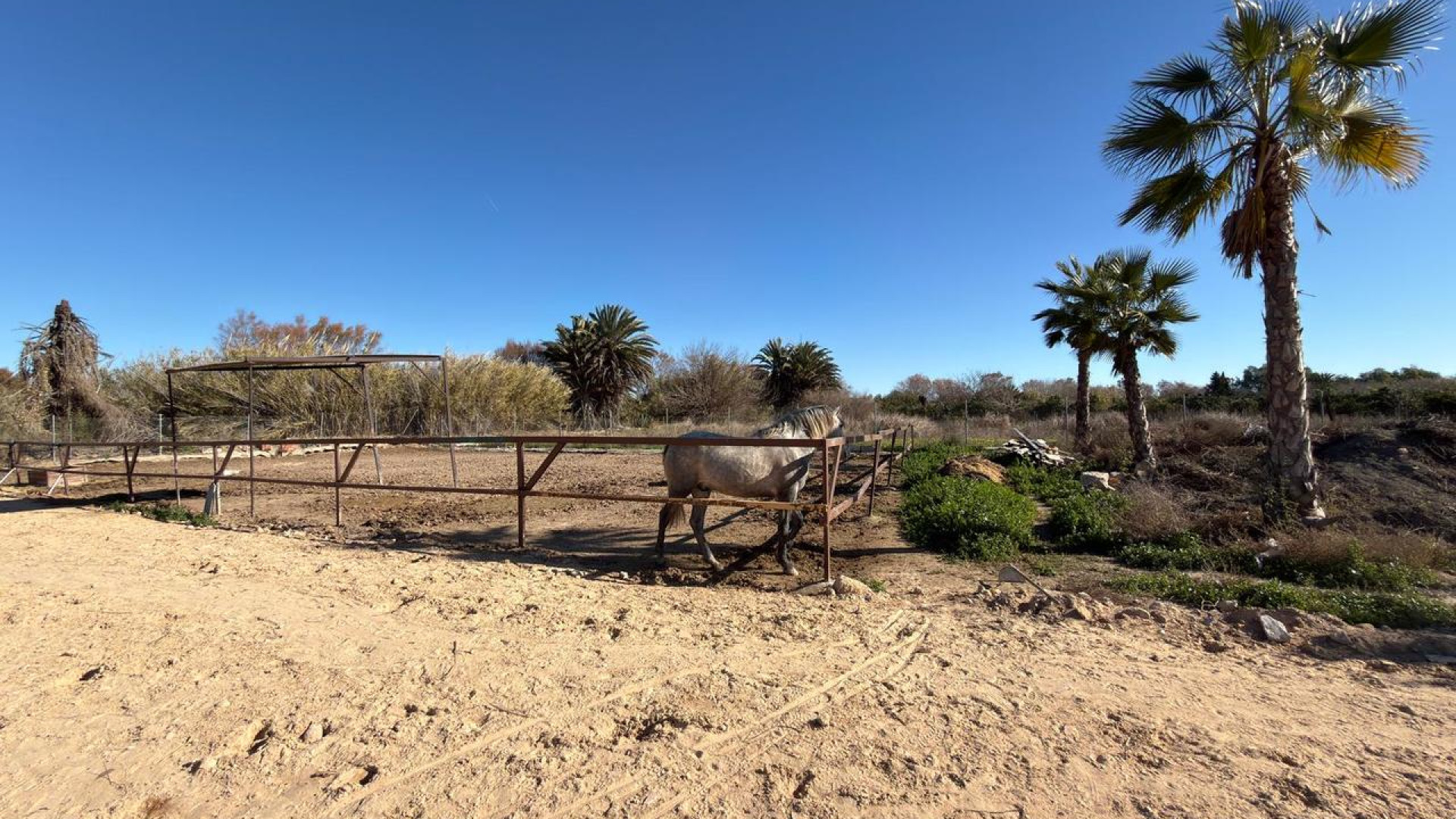 Revente - Perceel / Land - Algorfa