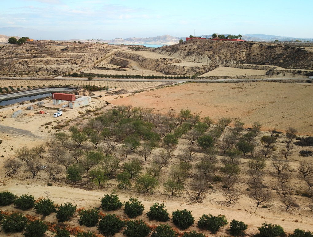 Revente - Perceel / Land - Torremendo - Torremendo - Country