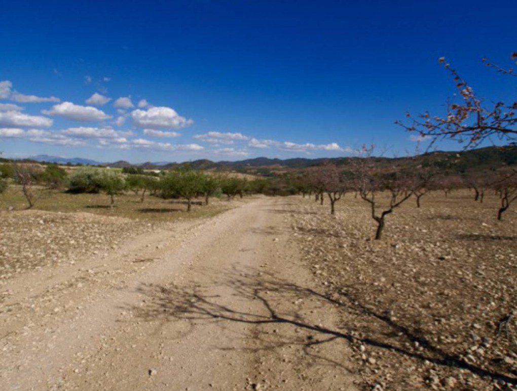 Revente - Plot of Land - Murcia