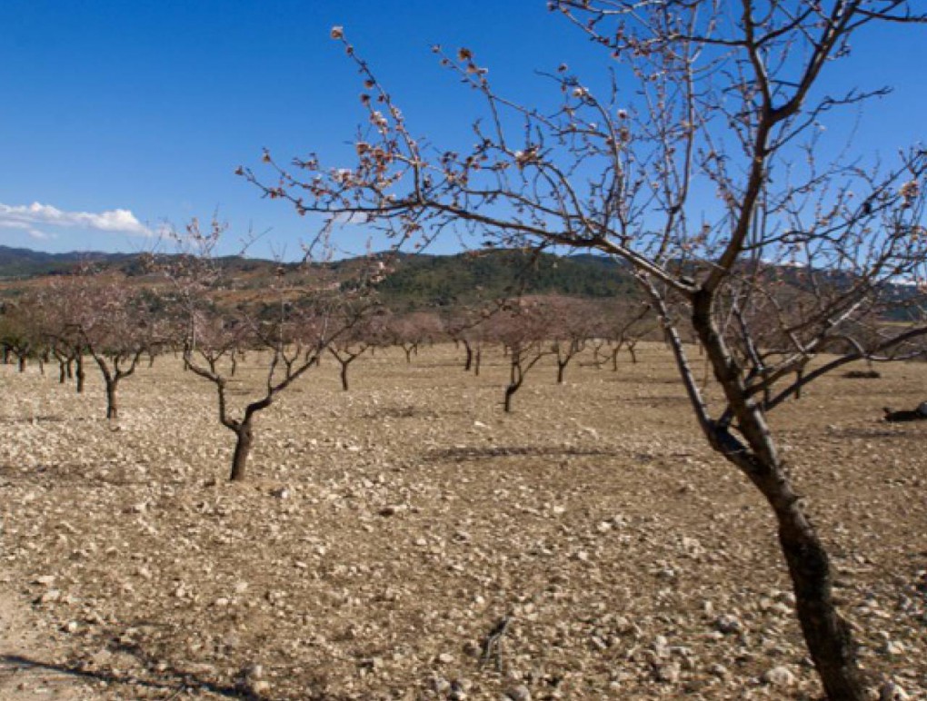 Revente - Plot of Land - Murcia