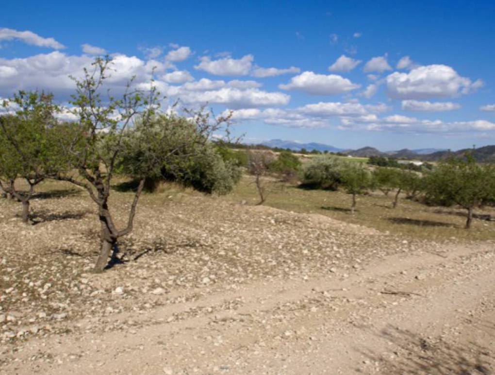 Revente - Plot of Land - Murcia