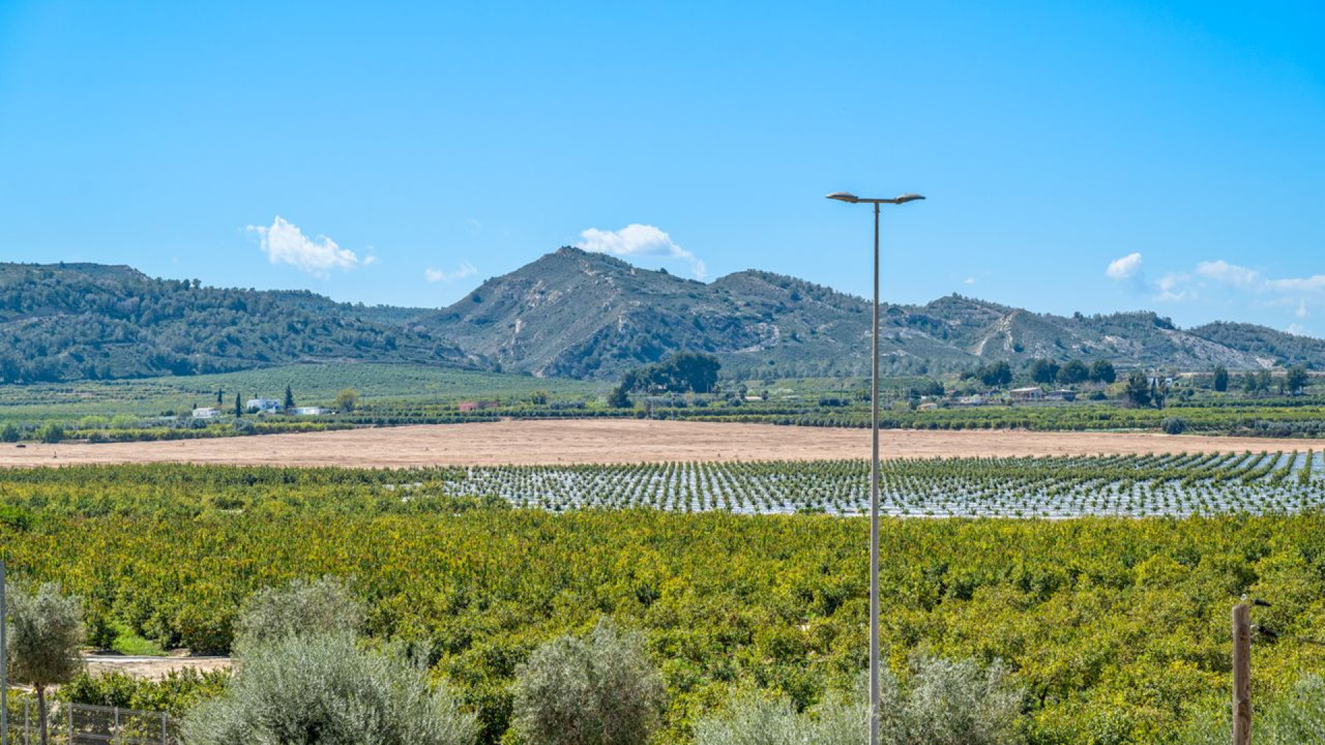 Sprzedaż - Apartment - Algorfa - Fontana