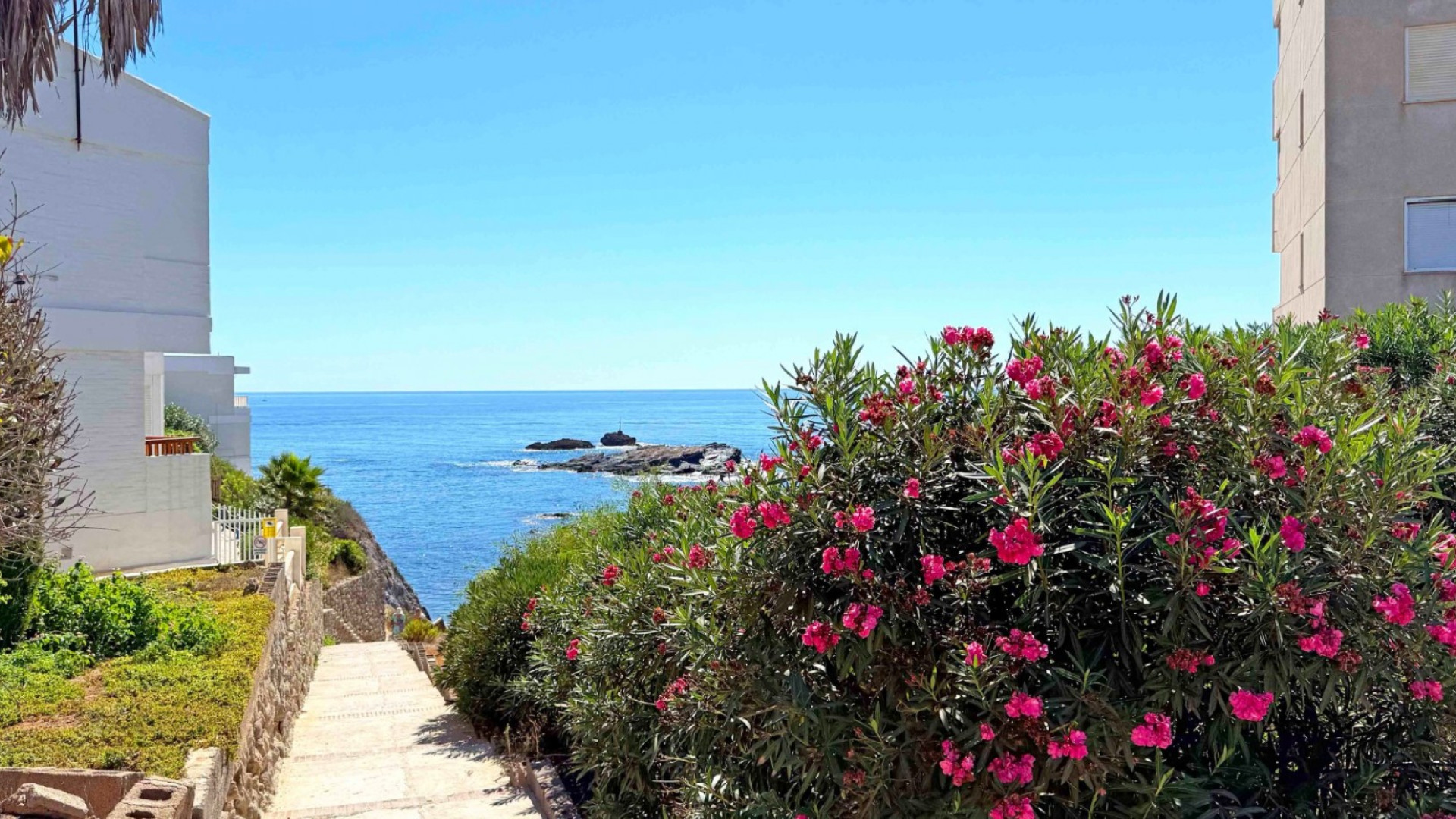 Sprzedaż - Apartment - Cabo de Palos