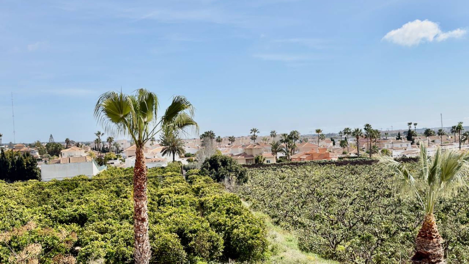 Sprzedaż - Apartment - Ciudad Quesada - Ciudad Quesada - Doña Pepa