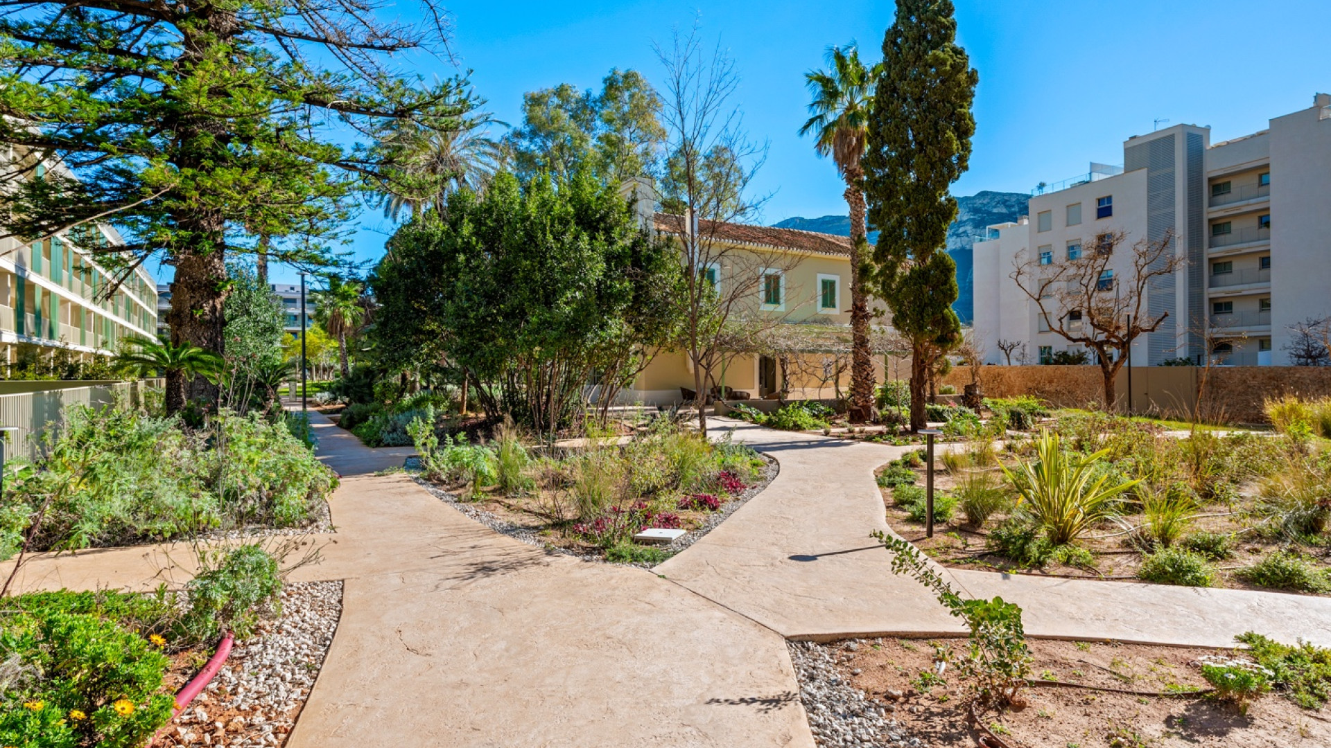 Sprzedaż - Apartment - Denia - Puerto