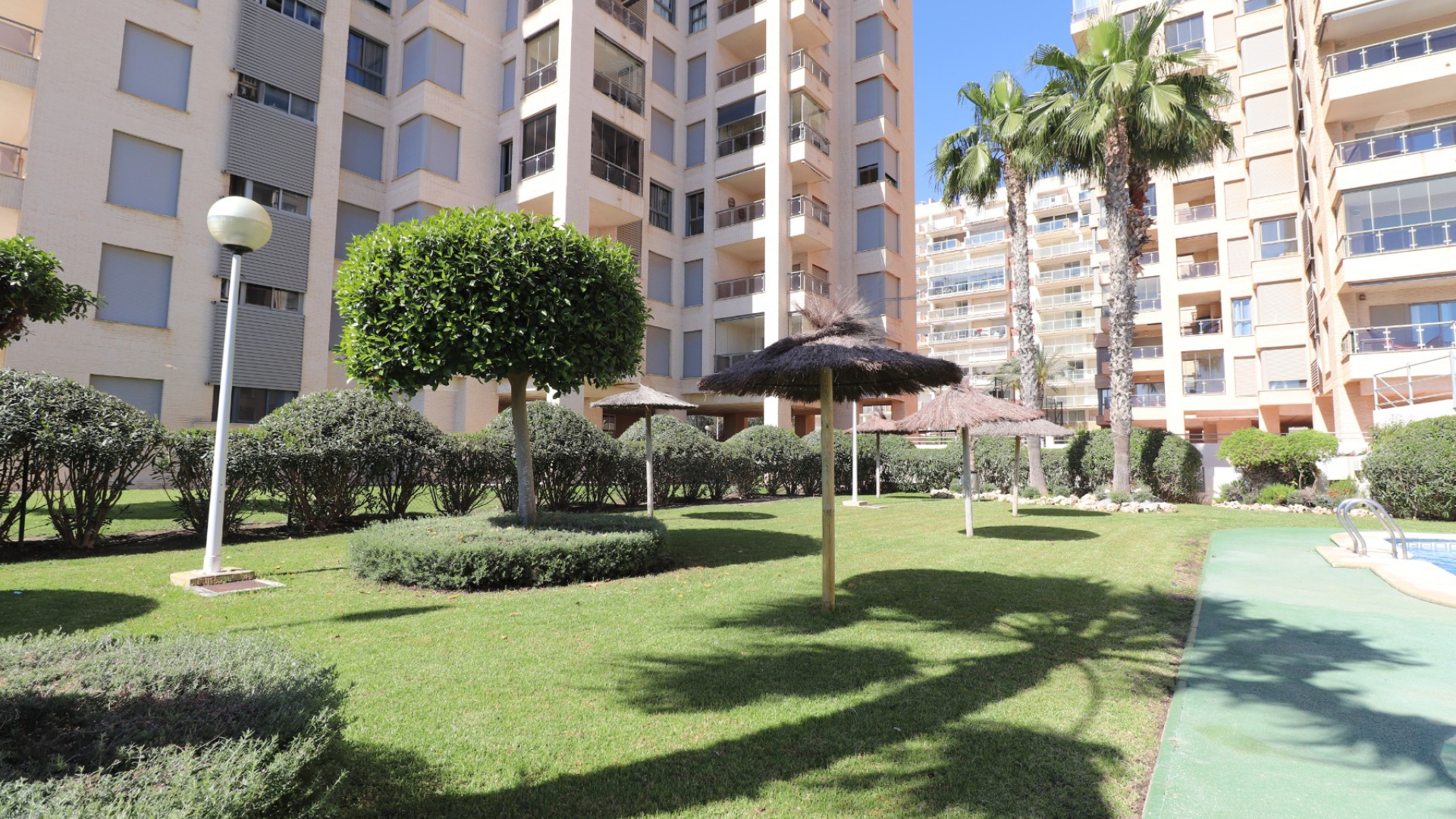 Sprzedaż - Apartment - Guardamar del Segura