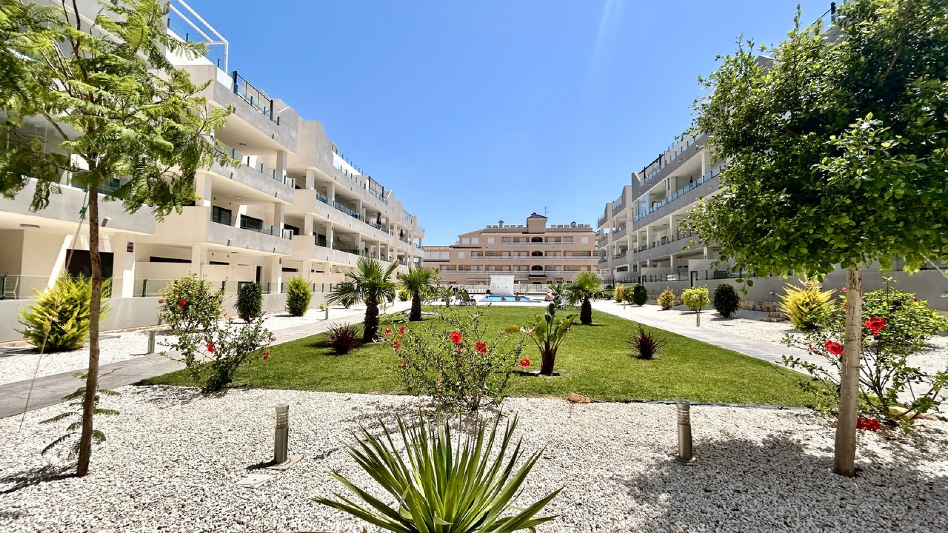 Sprzedaż - Apartment - Los Dolses
