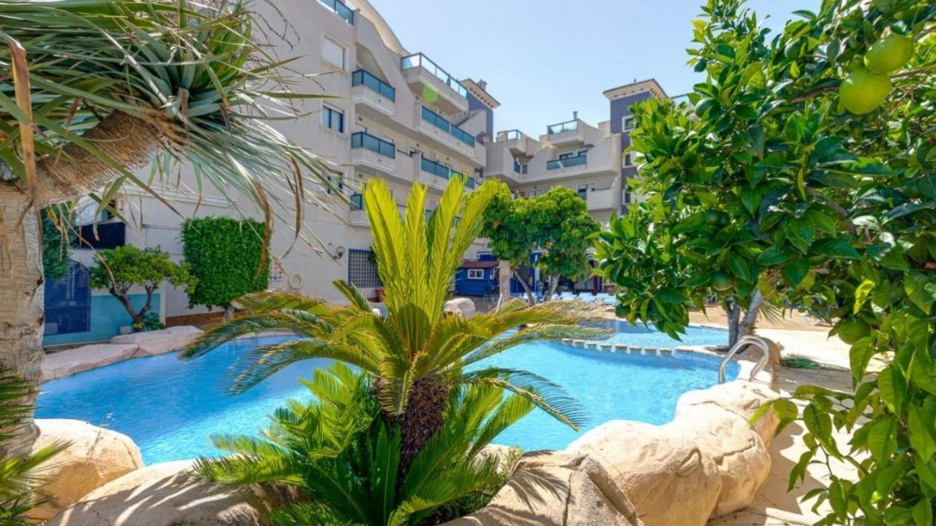 Sprzedaż - Apartment - Orihuela Costa - Cabo Roig